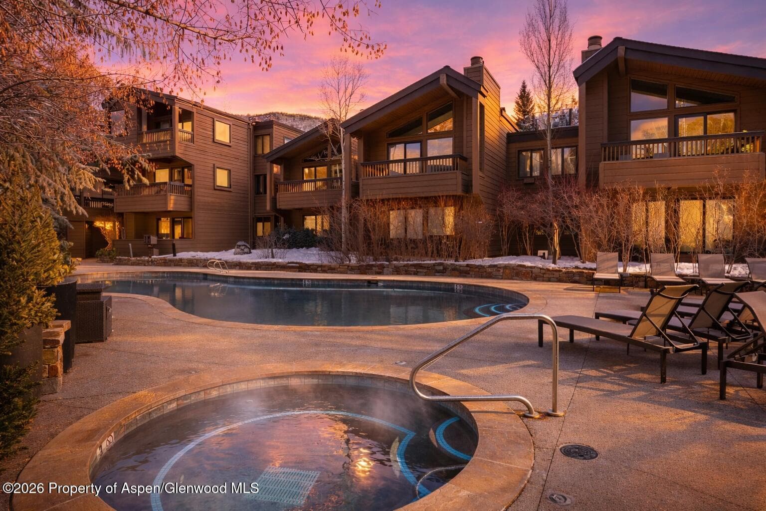 610 S West End Street D201, Aspen, CO 81611 - Photo 13