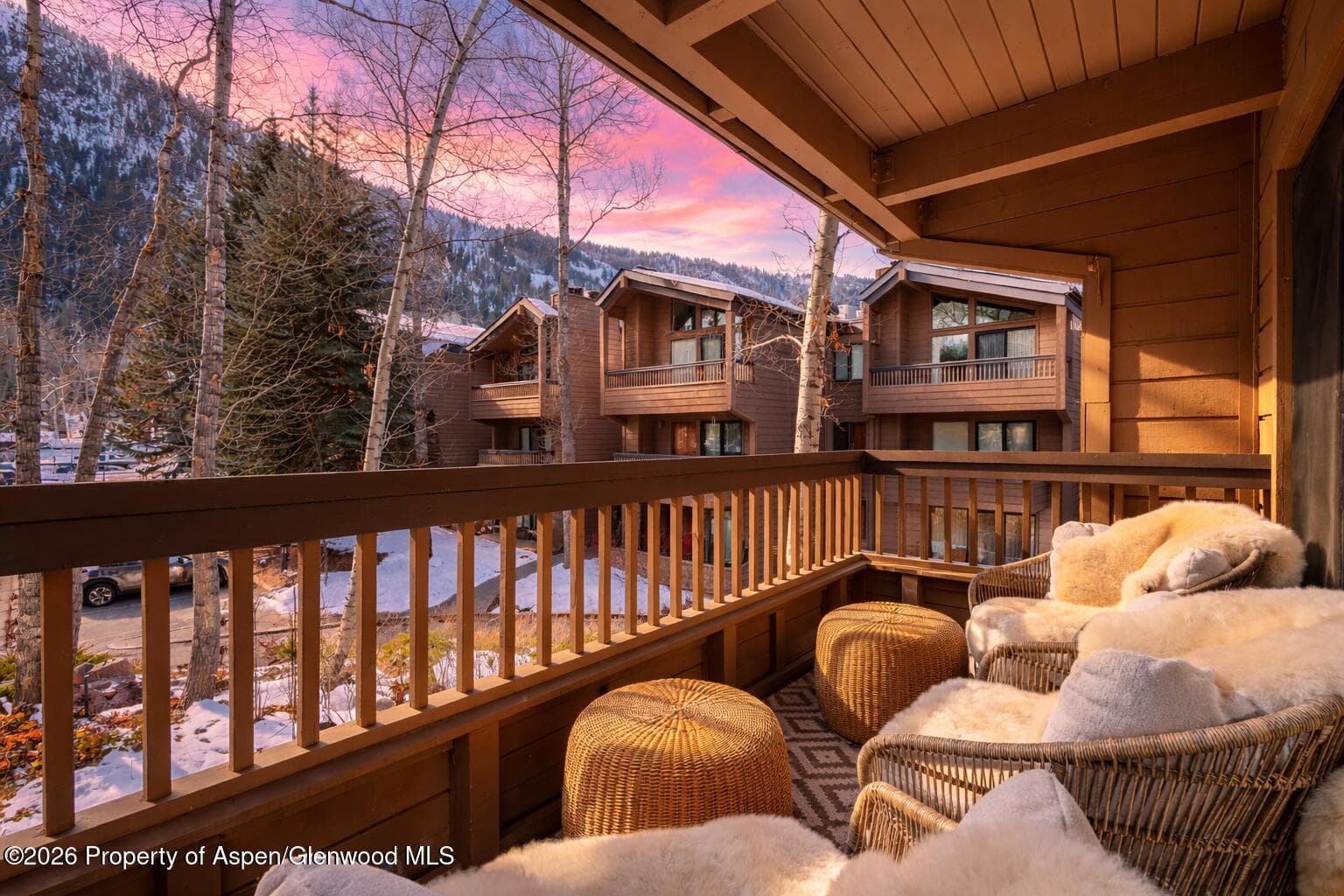 610 S West End Street D201, Aspen, CO 81611 - Photo 9