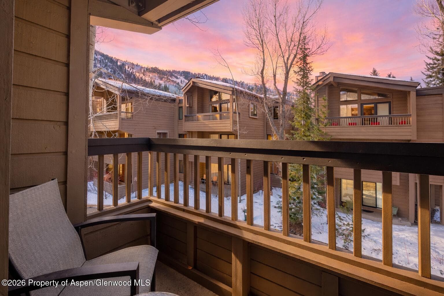 610 S West End Street D201, Aspen, CO 81611 - Photo 11