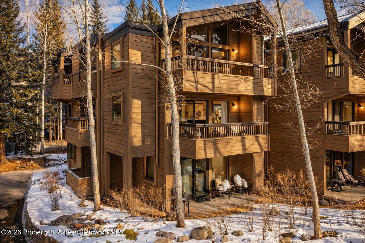 610 S West End Street D201, Aspen, CO 81611 - Photo 21
