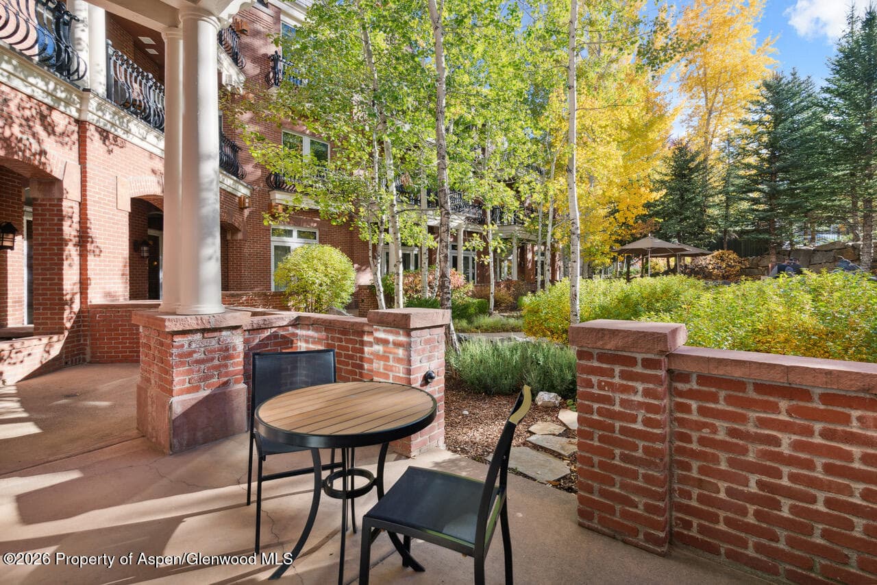 415 E Dean St, Unit 5, Weeks 9 & 10, Aspen, CO 81611 - Photo 13