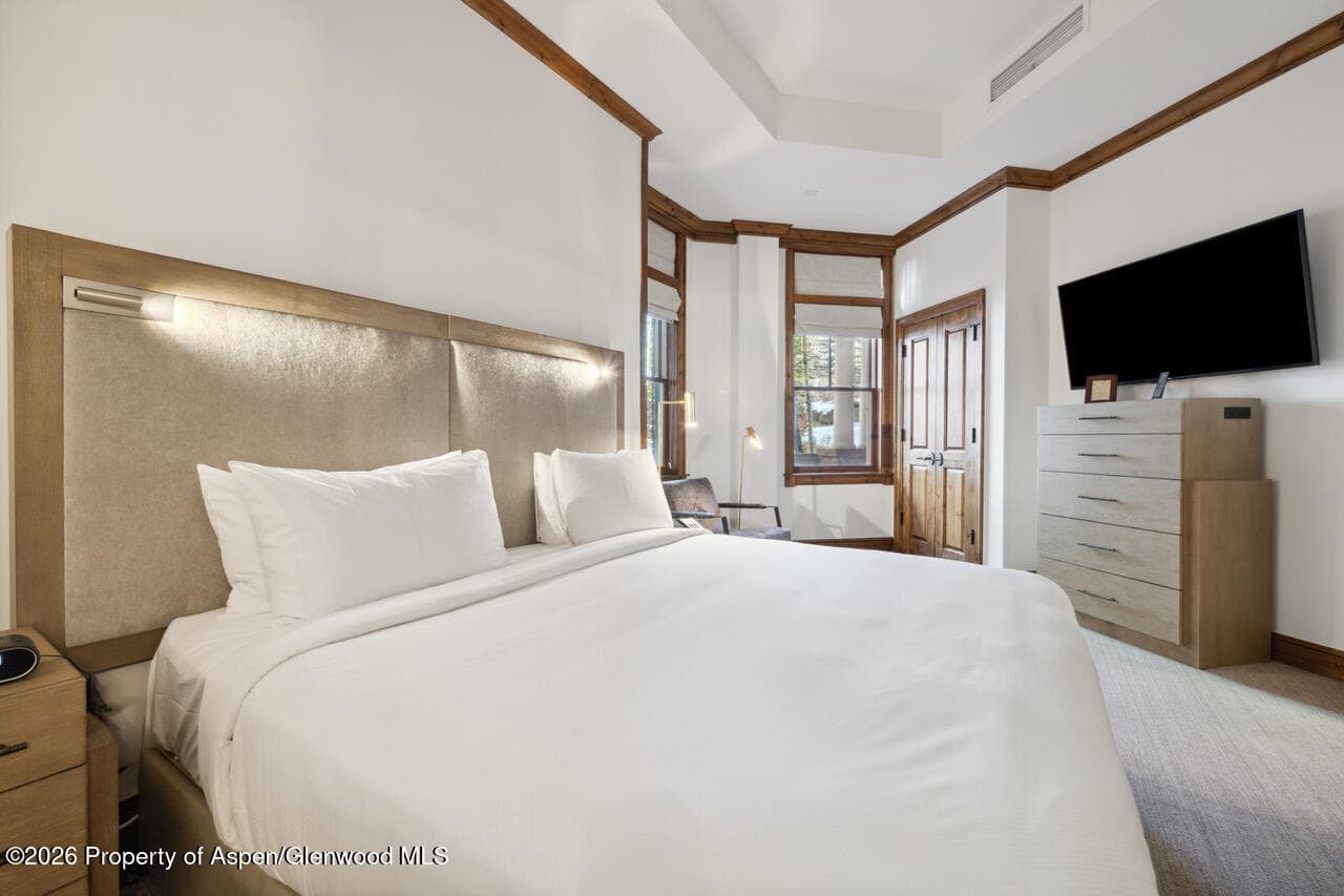 415 E Dean St, Unit 5, Weeks 9 & 10, Aspen, CO 81611 - Photo 14