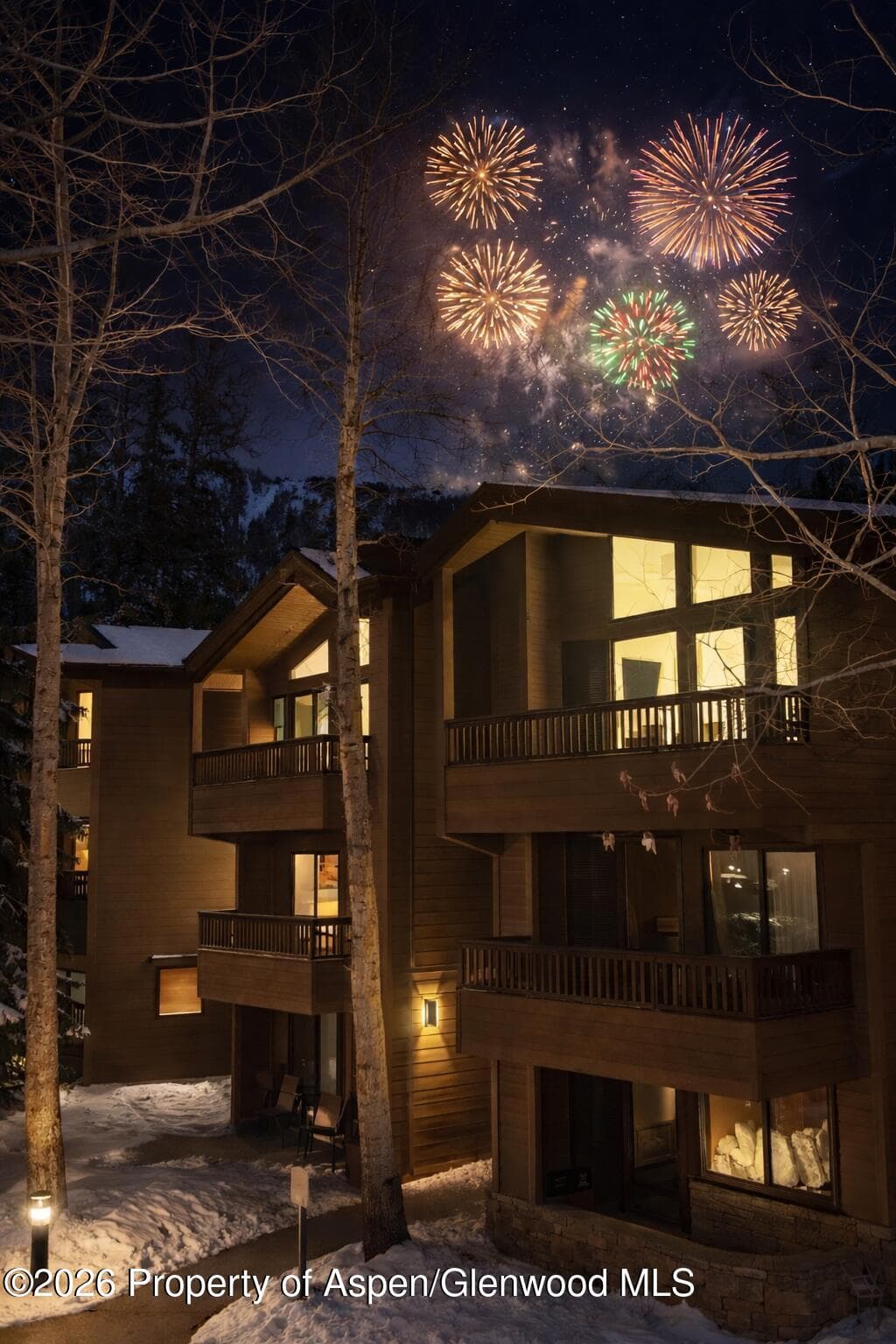 610 S West End Street D201, Aspen, CO 81611 - Photo 19