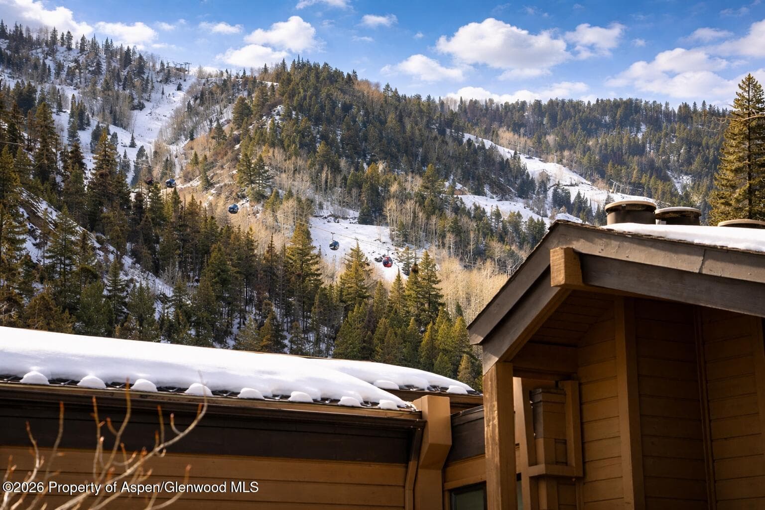 610 S West End Street D201, Aspen, CO 81611 - Photo 18