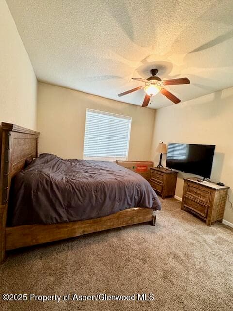 676 Overlook Drive, Craig, CO 81625 - Photo 14