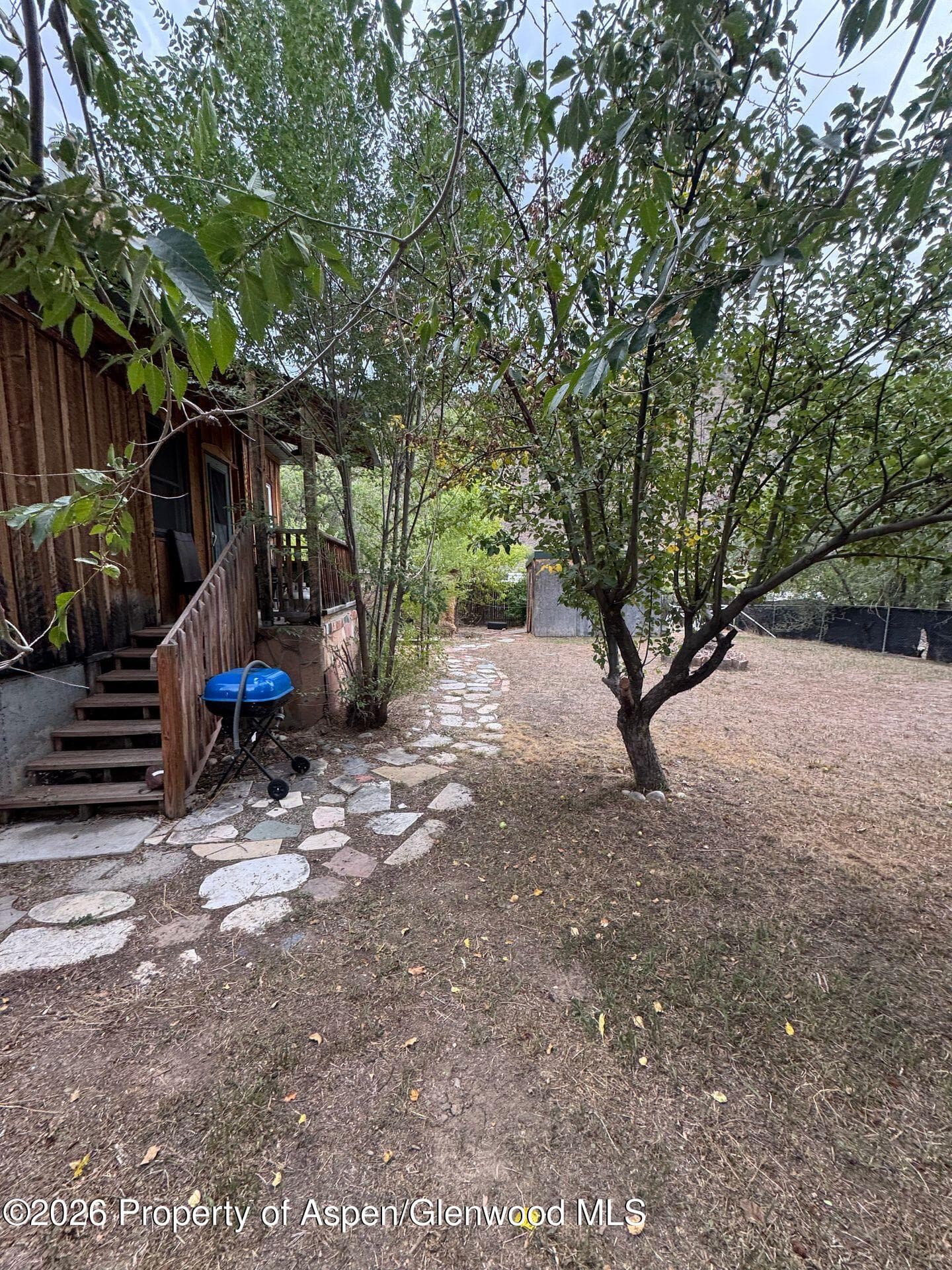 221 S E Avenue, New Castle, CO 81647 - Photo 36