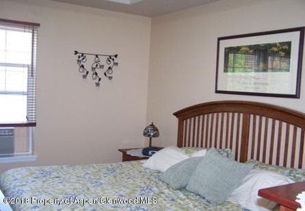 436 Stage Coach Lane, New Castle, CO 81647 - Photo 9