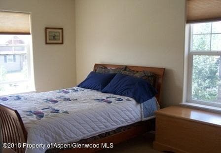 436 Stage Coach Lane, New Castle, CO 81647 - Photo 12