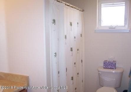 436 Stage Coach Lane, New Castle, CO 81647 - Photo 13