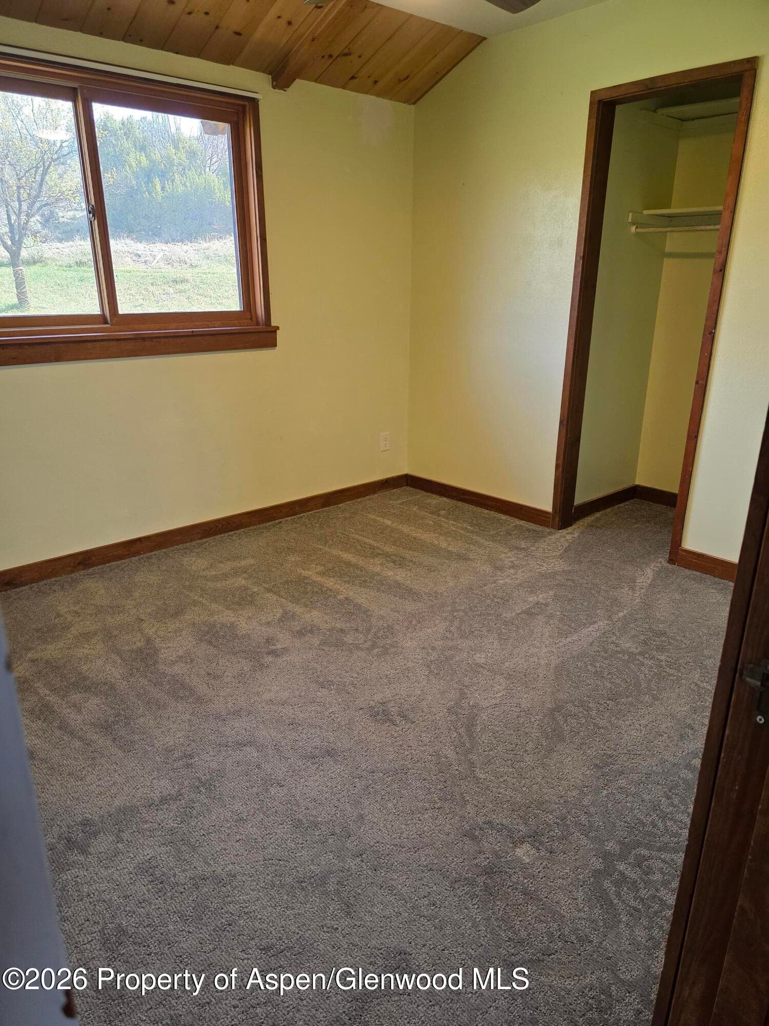3465 County Road 214, Silt, CO 81652 - Photo 6