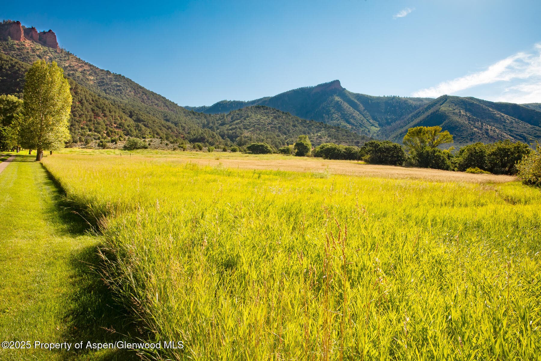 Tbd Lower River Road, Snowmass, CO 81654 - Photo 11