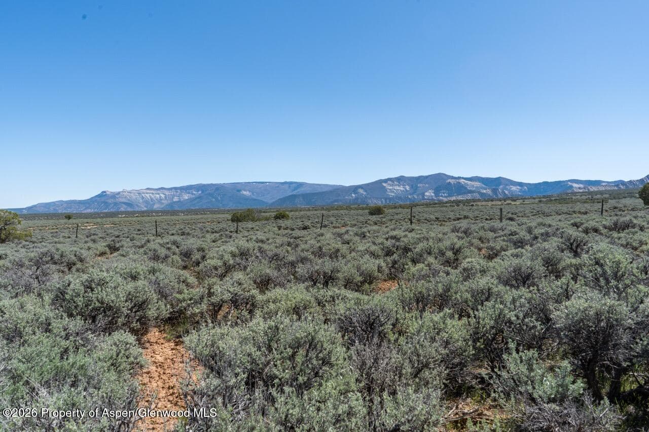 Tbd T Road, De Beque, CO 81630 - Photo 9