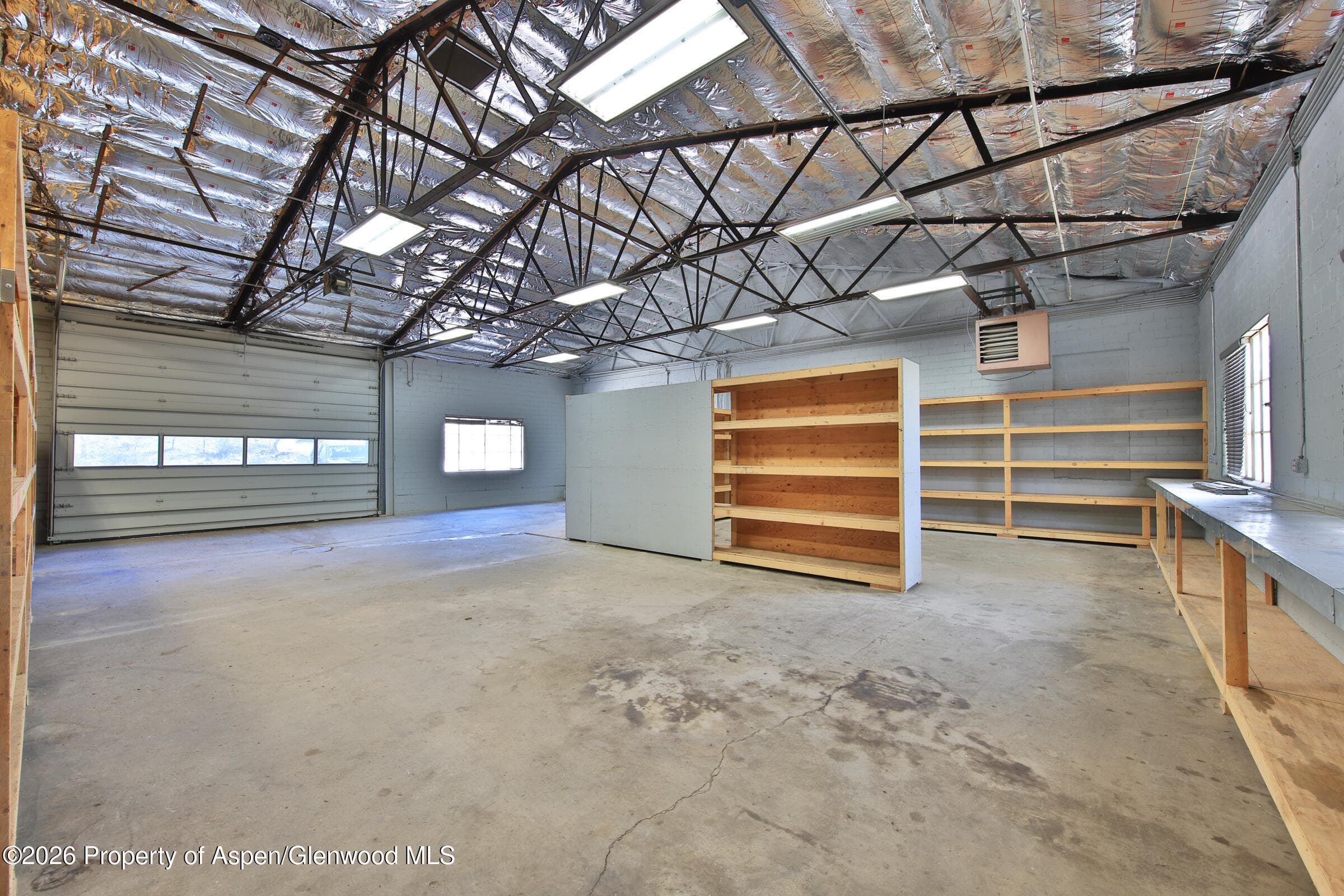 15757 57 1/2 Road, Collbran, CO 81624 - Photo 10