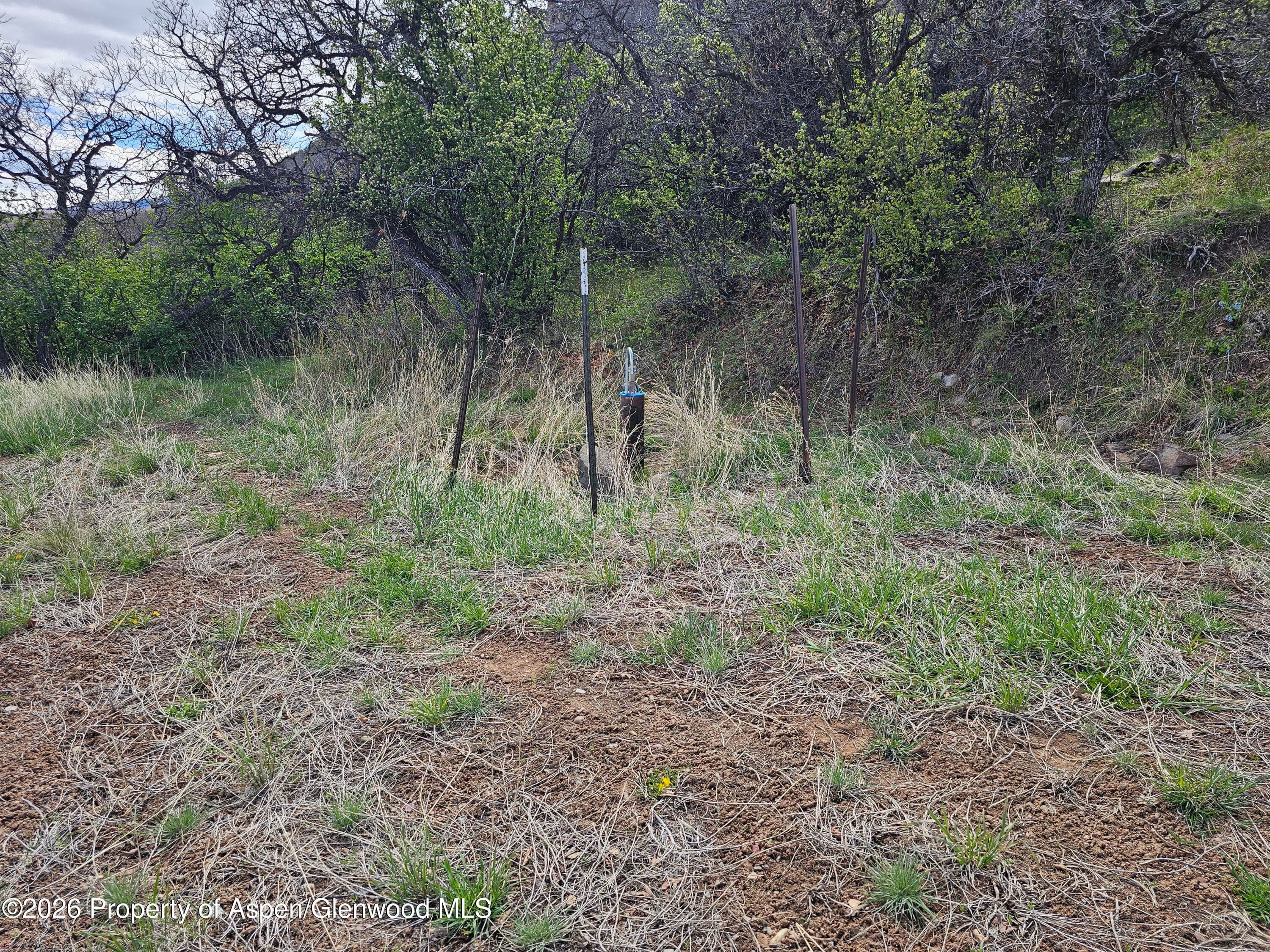 4700 Bear Wallow Lane, Glenwood Springs, CO 81601 - Photo 8