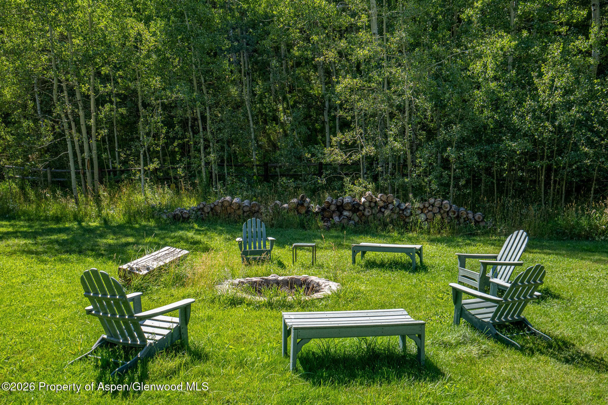 285 Conundrum Road, Aspen, CO 81611 - Photo 29