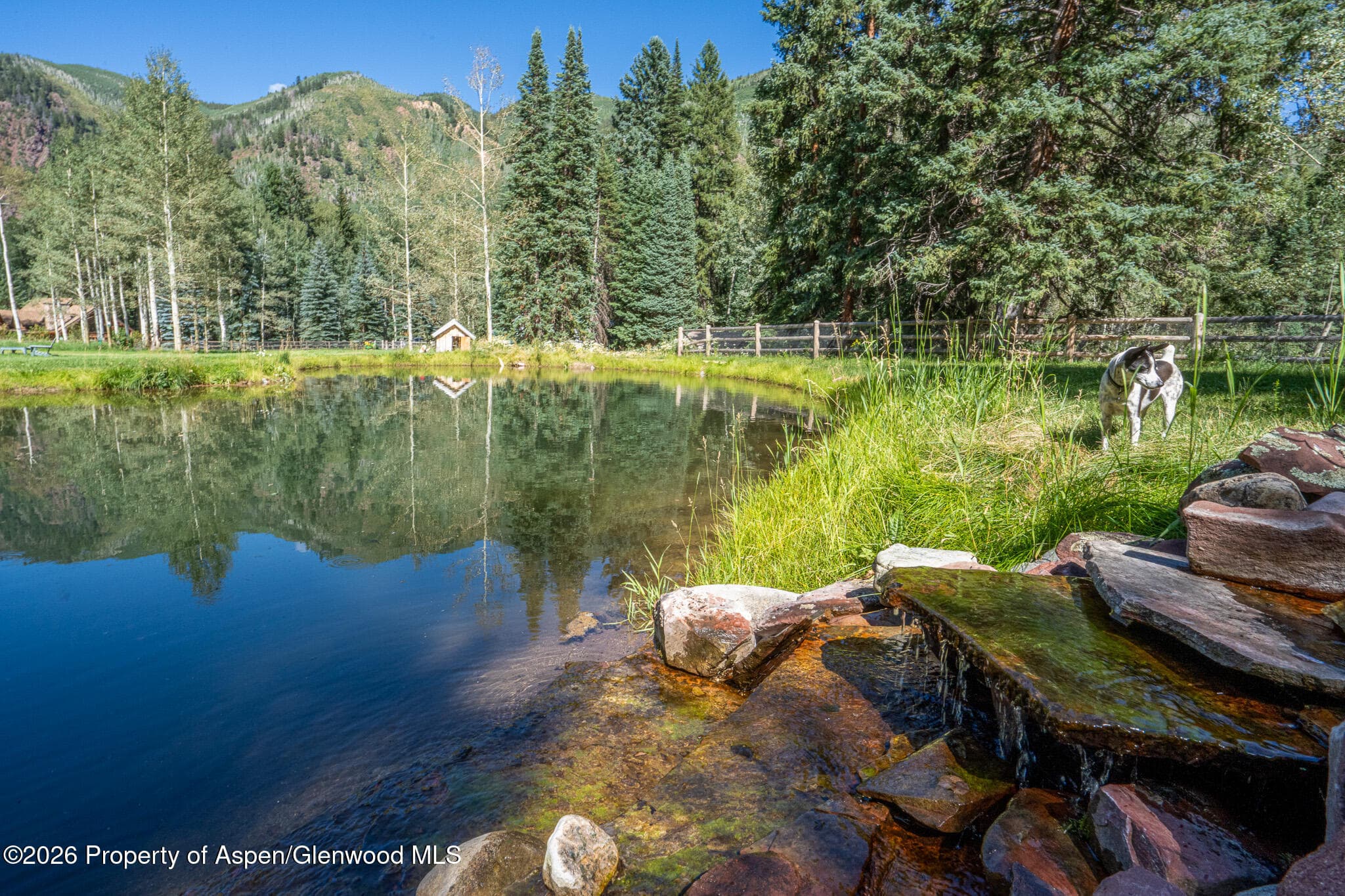 285 Conundrum Road, Aspen, CO 81611 - Photo 10