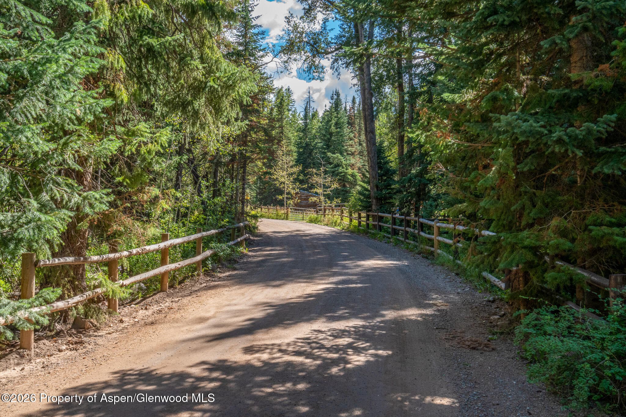 285 Conundrum Road, Aspen, CO 81611 - Photo 4