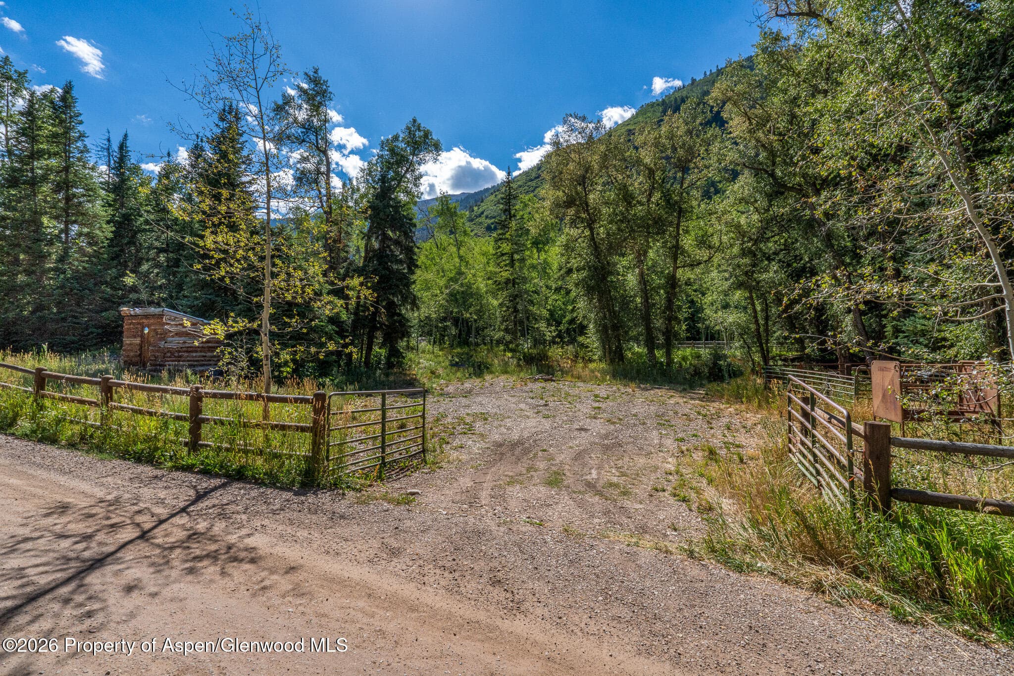 285 Conundrum Road, Aspen, CO 81611 - Photo 31