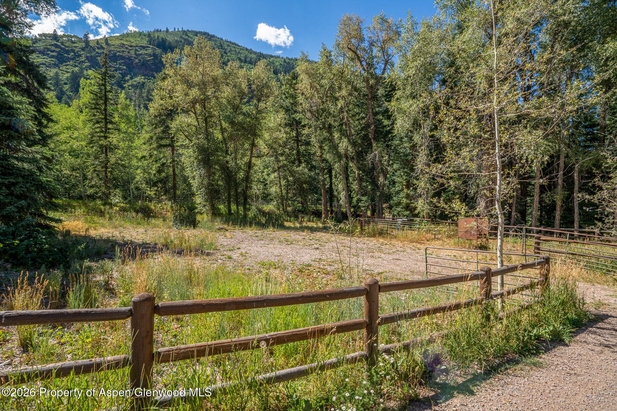 285 Conundrum Road, Aspen, CO 81611 - Photo 33