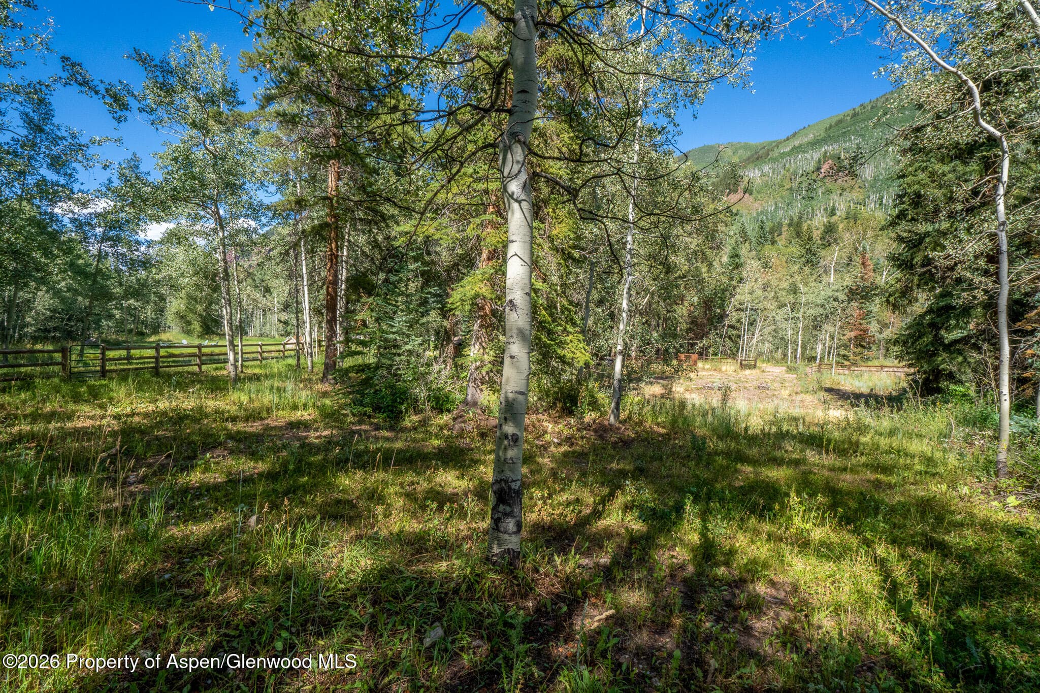 285 Conundrum Road, Aspen, CO 81611 - Photo 35
