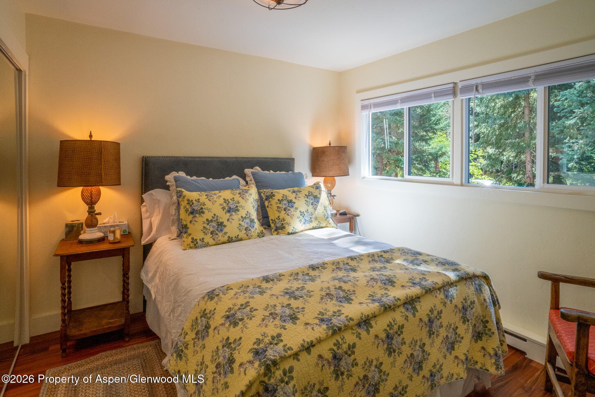 285 Conundrum Road, Aspen, CO 81611 - Photo 25