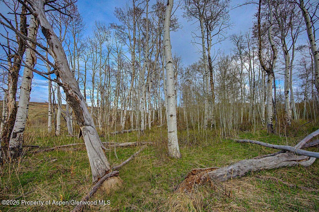 3539 Boulder Drive Lots: 372, 373, 374, Craig, CO 81625 - Photo 18