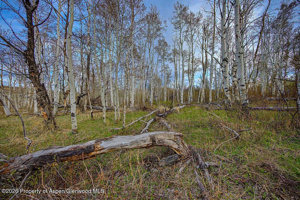 3539 Boulder Drive Lots: 372, 373, 374, Craig, CO 81625 - Photo 21
