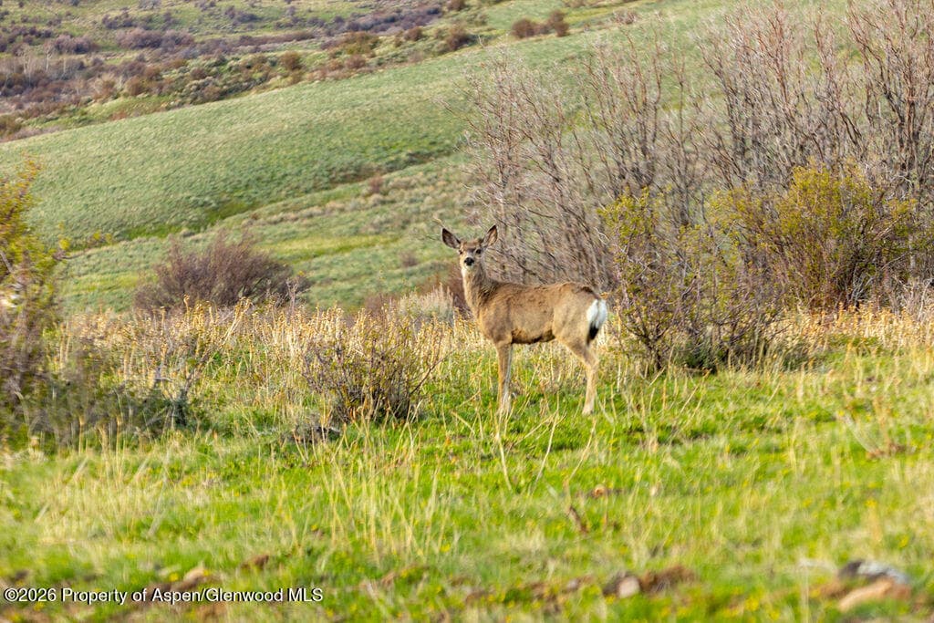3539 Boulder Drive Lots: 372, 373, 374, Craig, CO 81625 - Photo 4