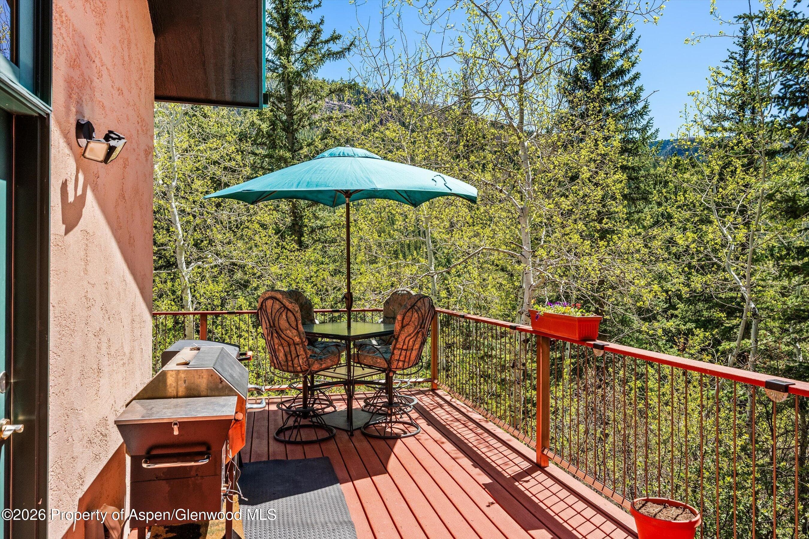 200 Elk Mountain Drive, Redstone, CO 81623 - Photo 22
