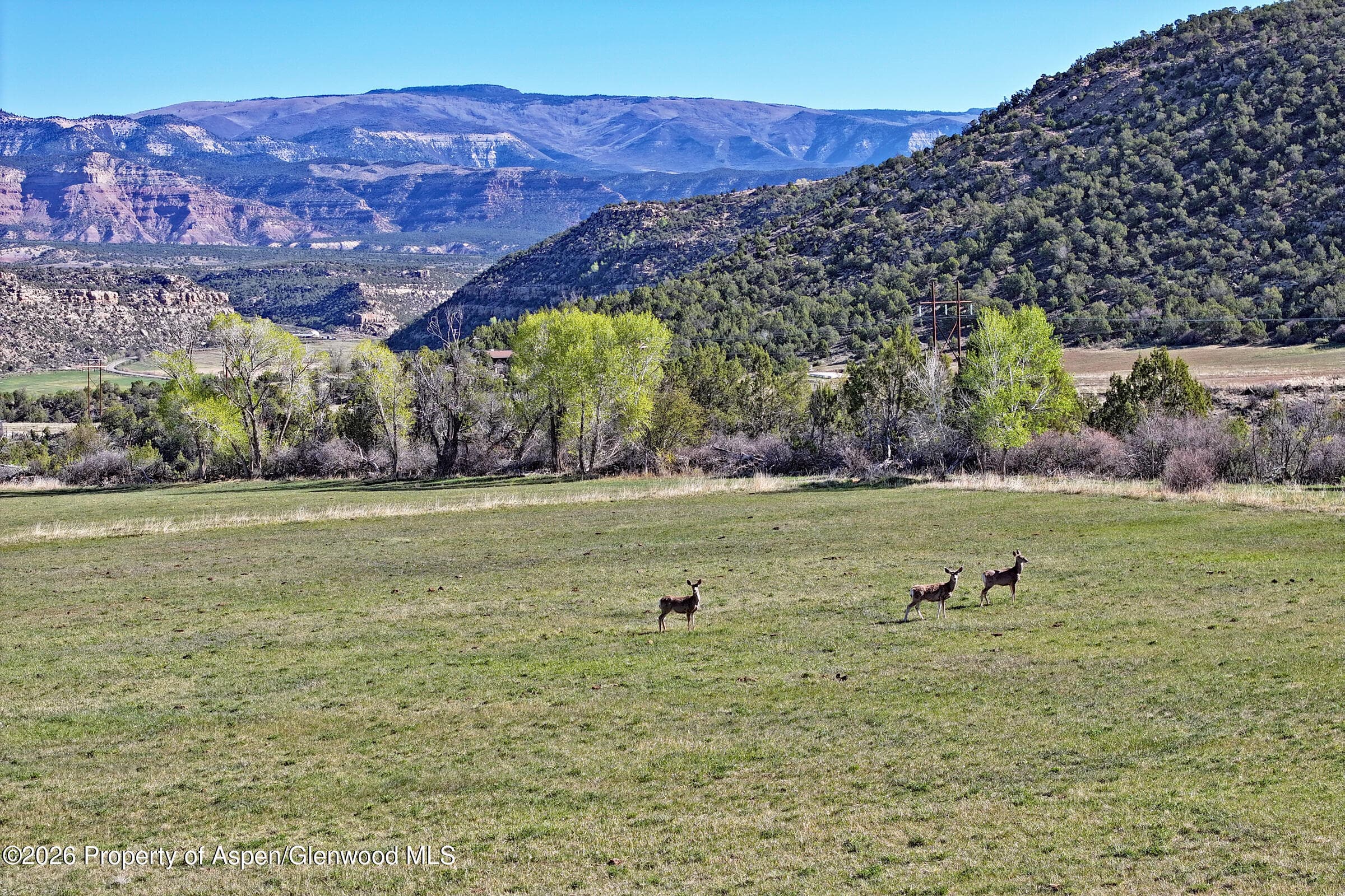 12482 54 7/10 Road, Molina, CO 81646 - Photo 9