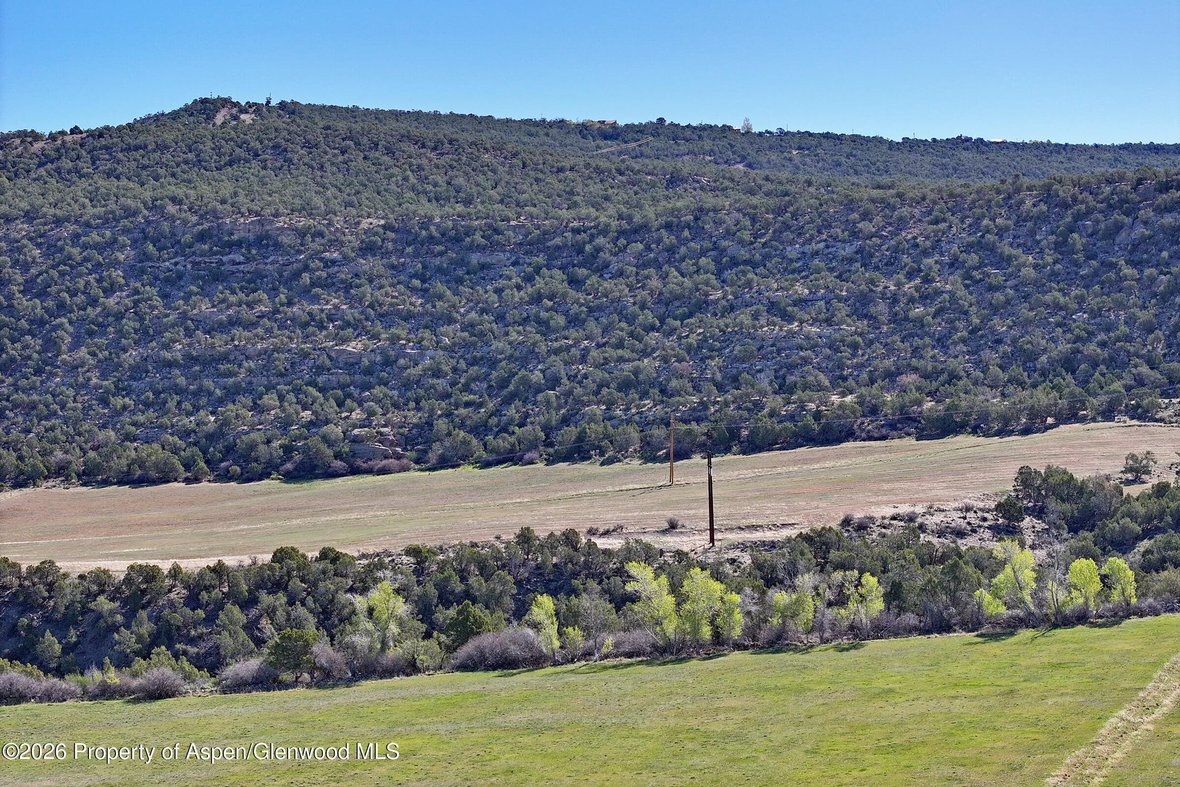 12482 54 7/10 Road, Molina, CO 81646 - Photo 11