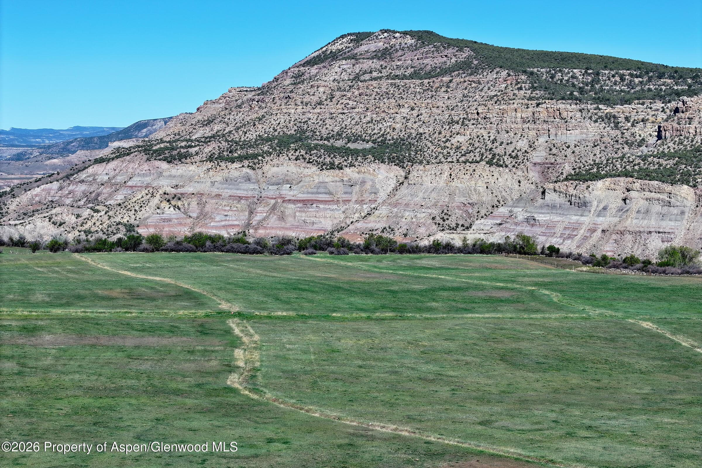 12482 54 7/10 Road, Molina, CO 81646 - Photo 12