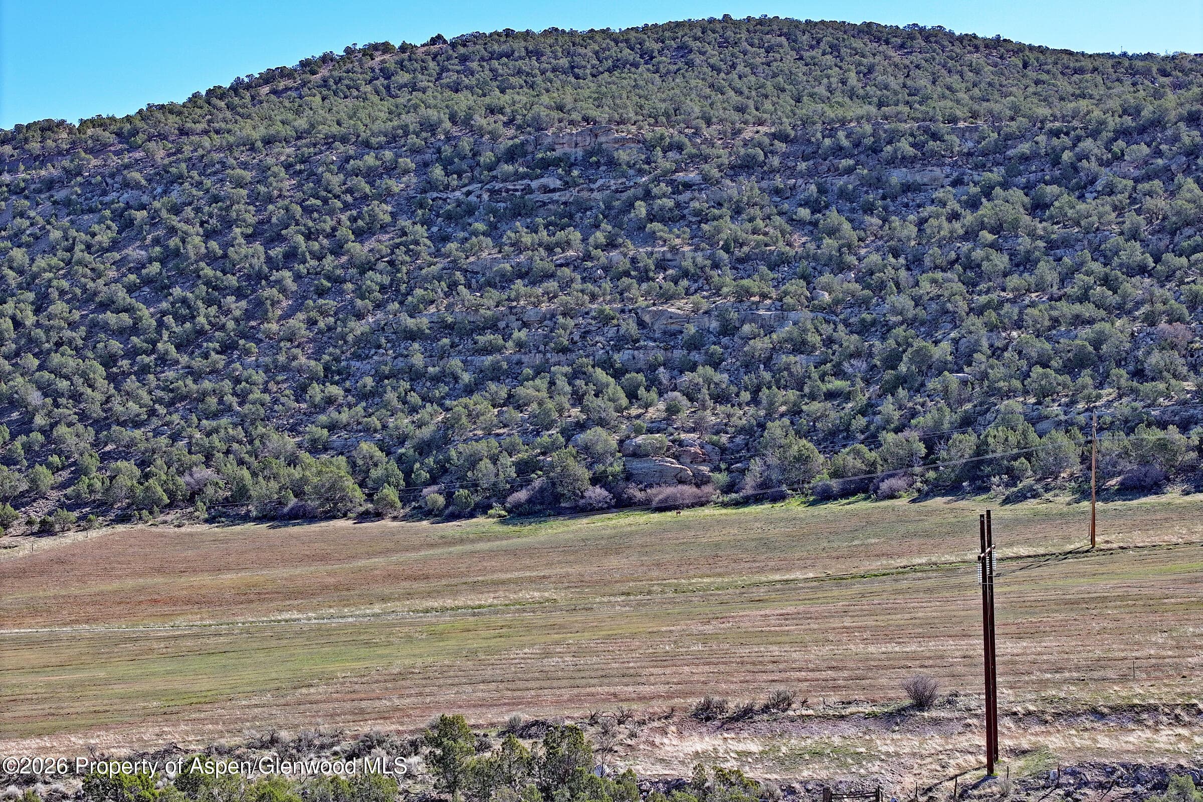 12482 54 7/10 Road, Molina, CO 81646 - Photo 14