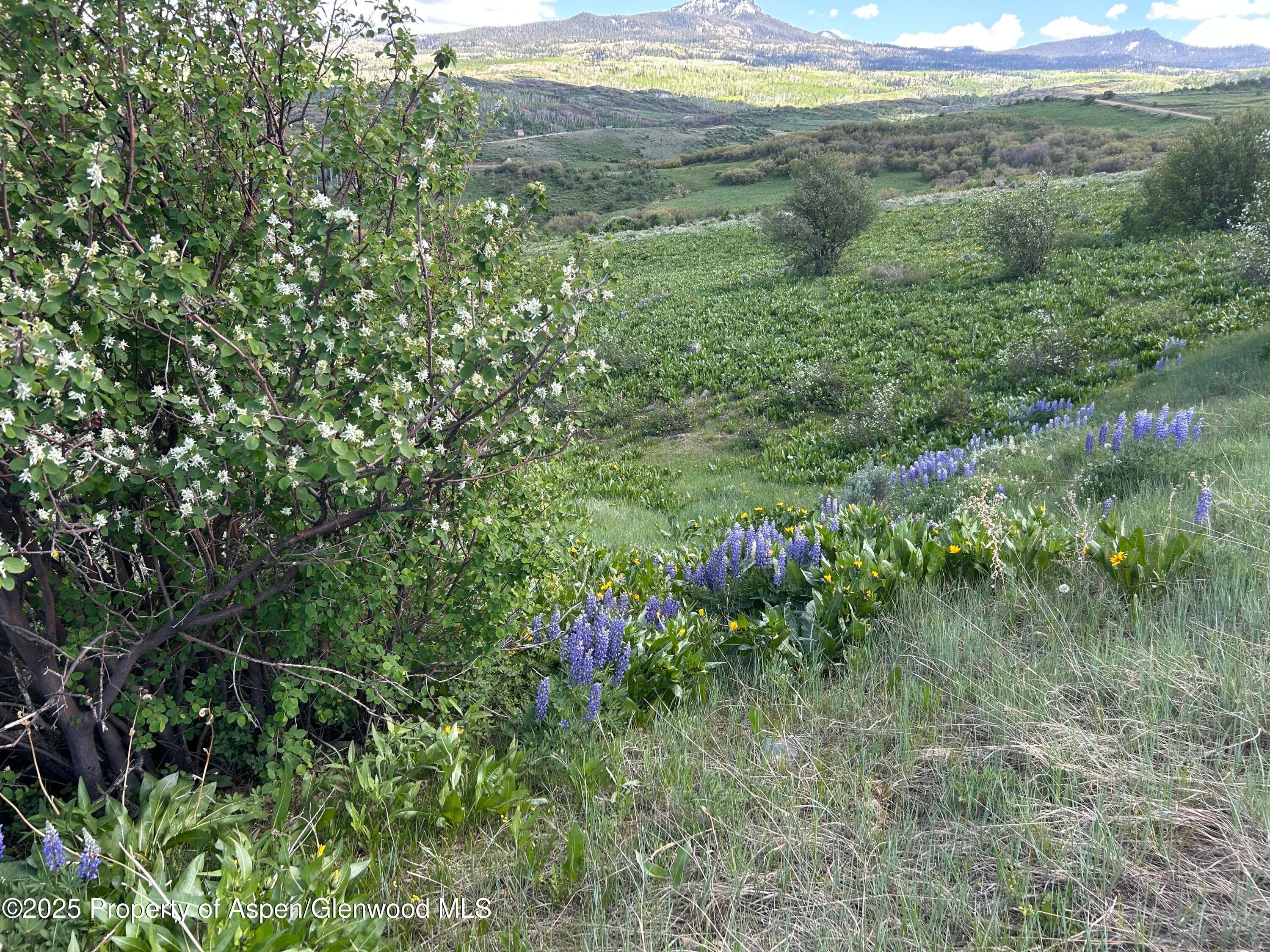 1445 Sprout Drive Lot 688, Craig, CO 81625 - Photo 2