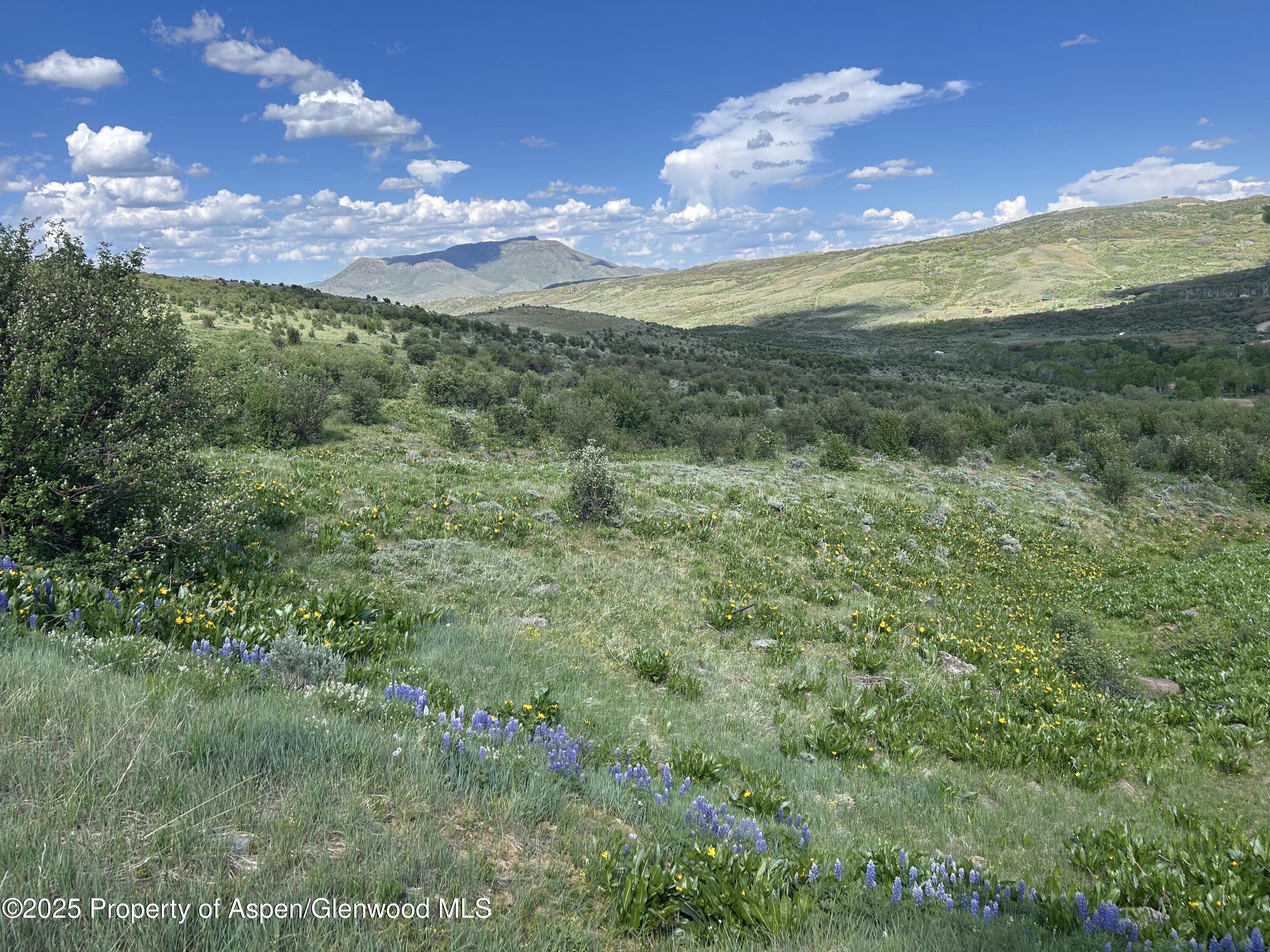 1445 Sprout Drive Lot 688, Craig, CO 81625 - Photo 3