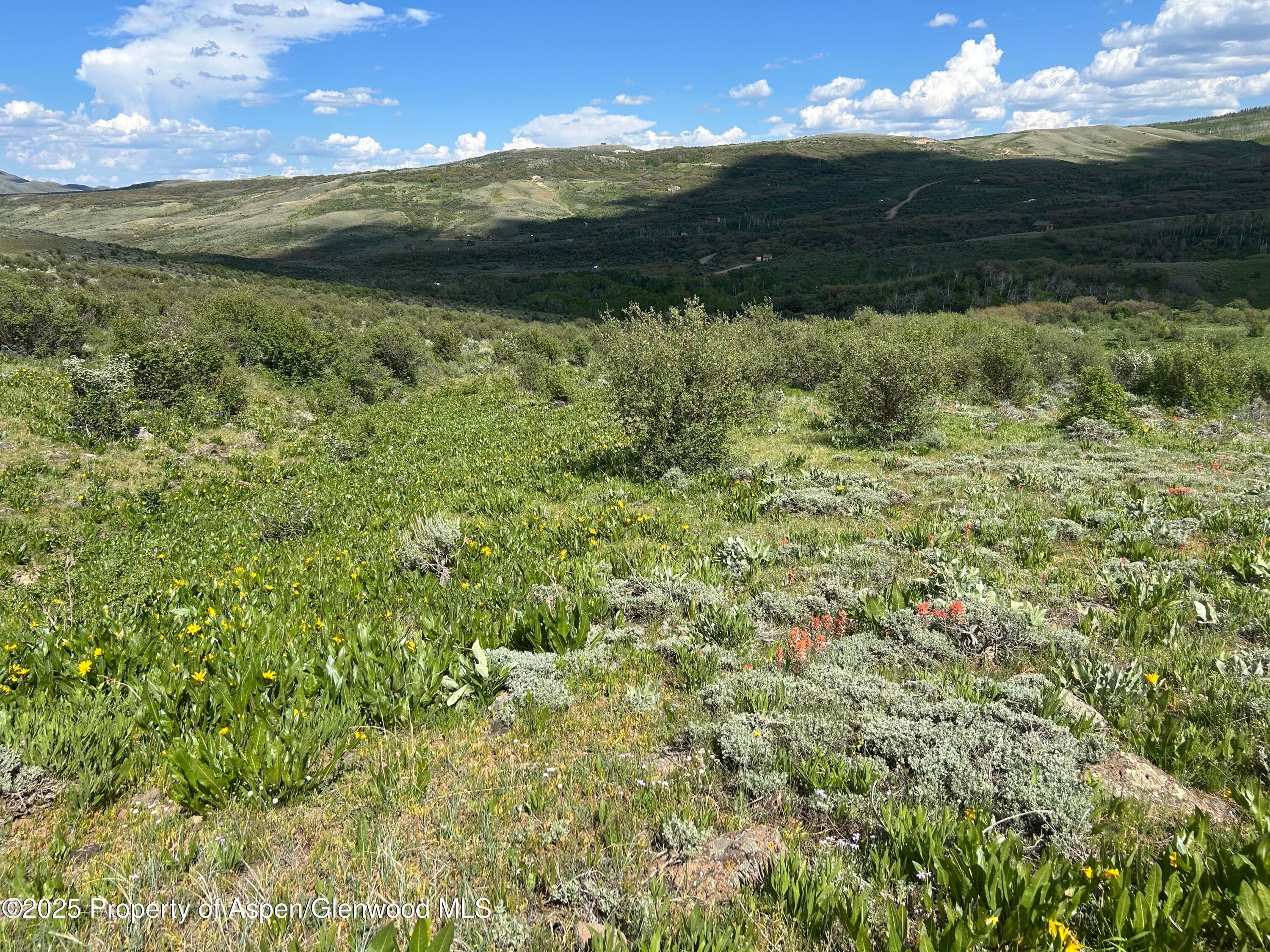 1445 Sprout Drive Lot 688, Craig, CO 81625 - Photo 4