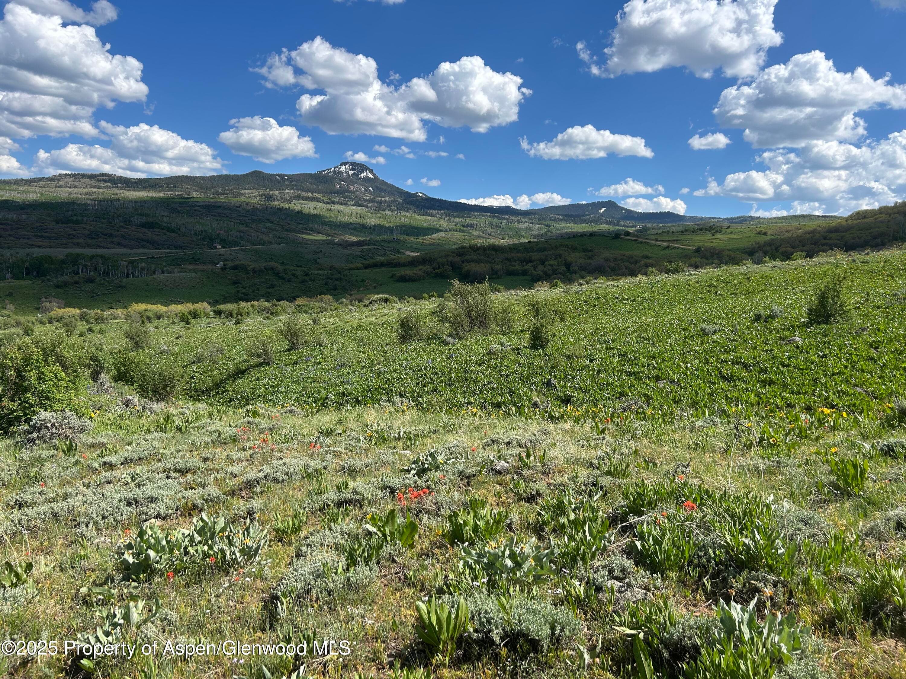 1445 Sprout Drive Lot 688, Craig, CO 81625 - Photo 6