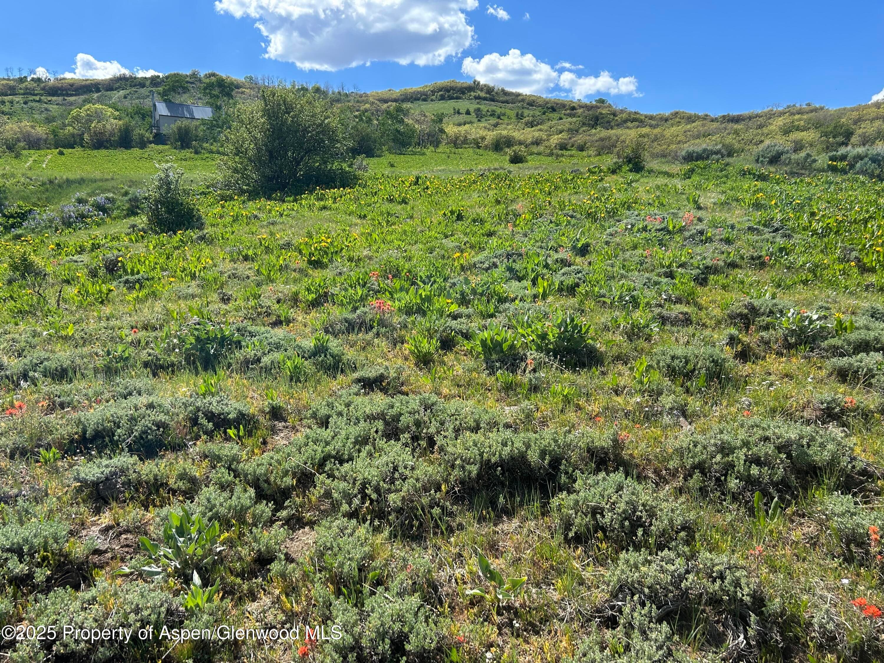 1445 Sprout Drive Lot 688, Craig, CO 81625 - Photo 7