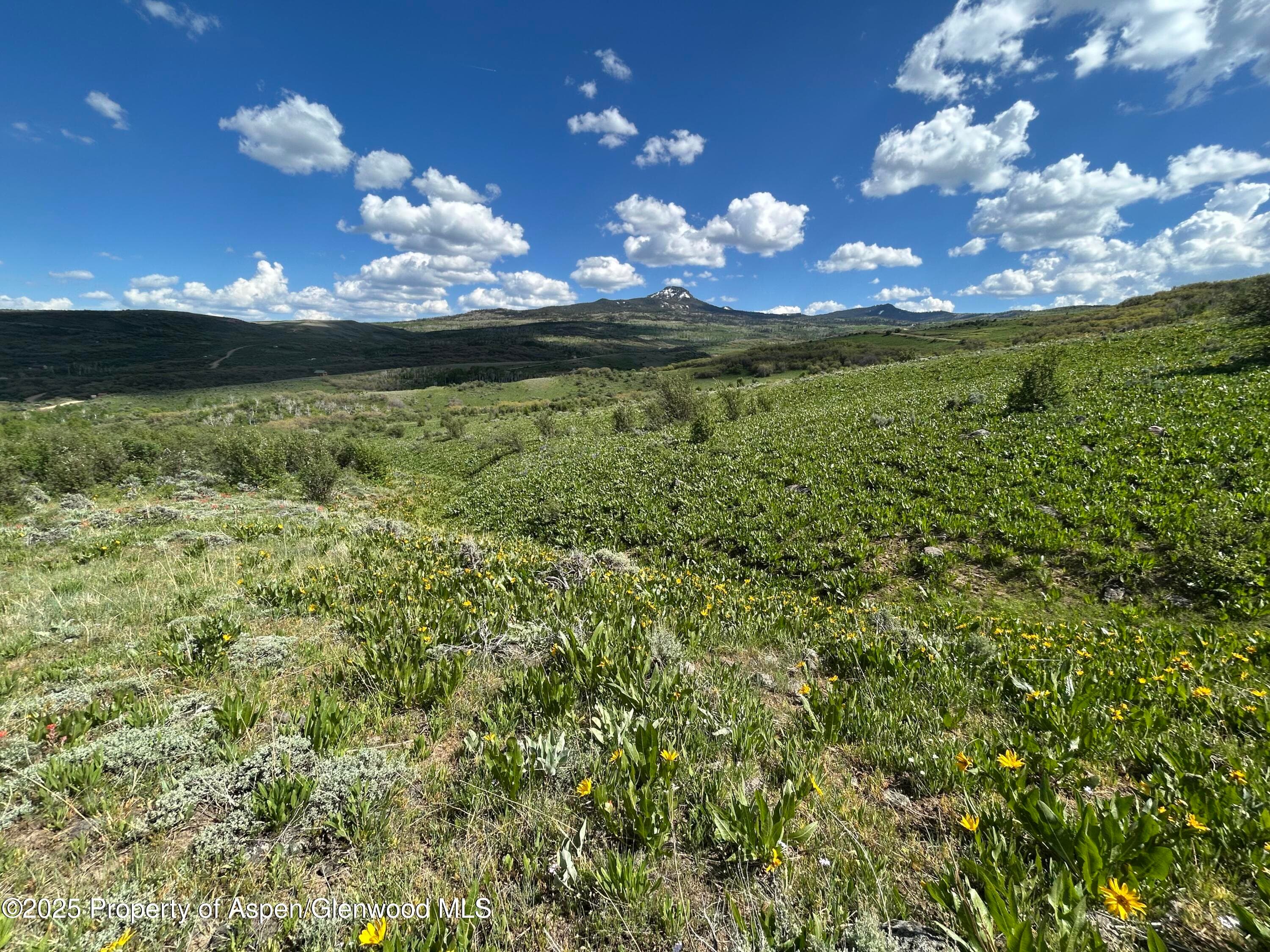 1445 Sprout Drive Lot 688, Craig, CO 81625 - Photo 8