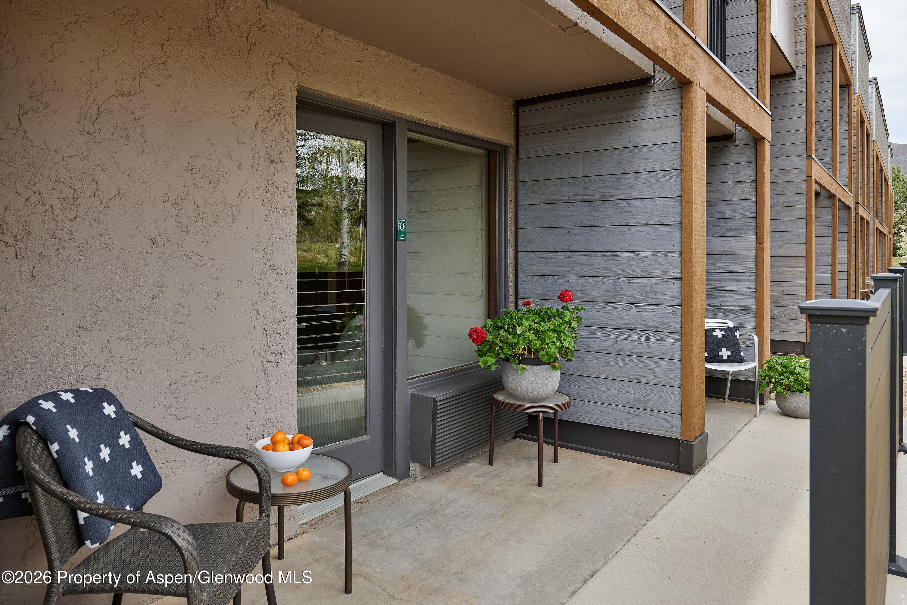 38750 Highway 82 1163 & 1165, Aspen, CO 81611 - Photo 9