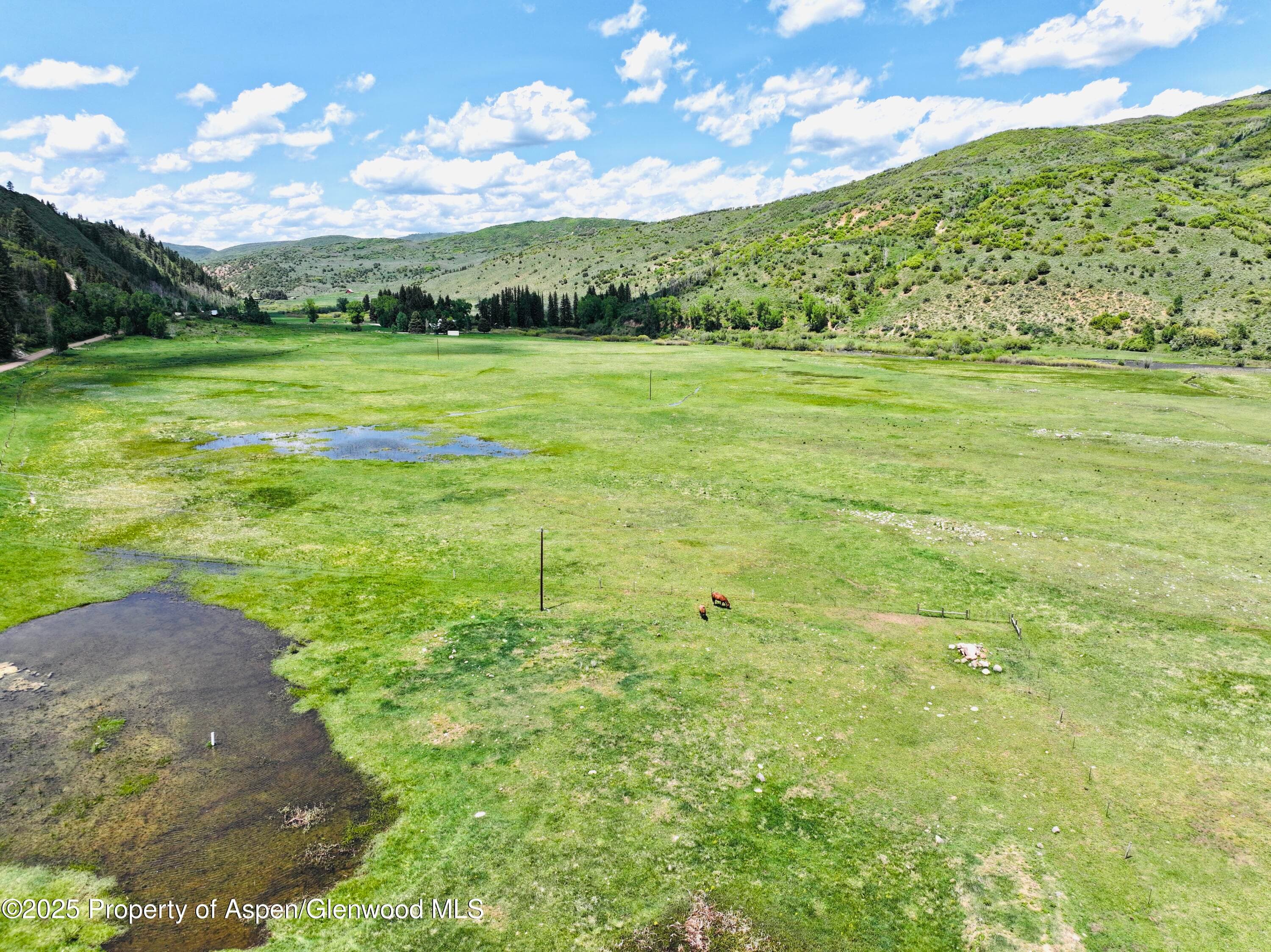 3915 County Road 10, Meeker, CO 81641 - Photo 5