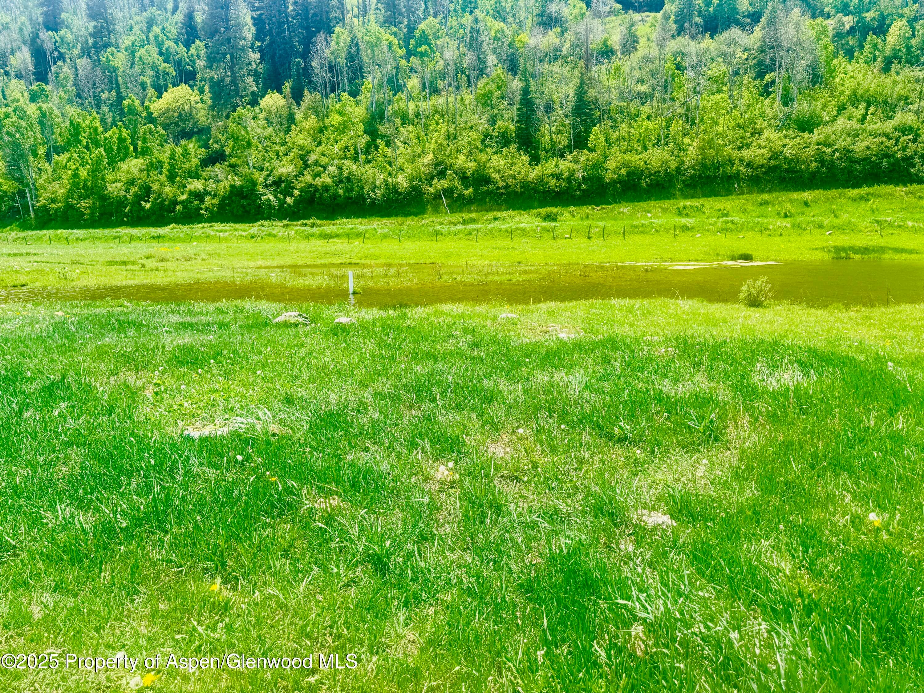 3915 County Road 10, Meeker, CO 81641 - Photo 6