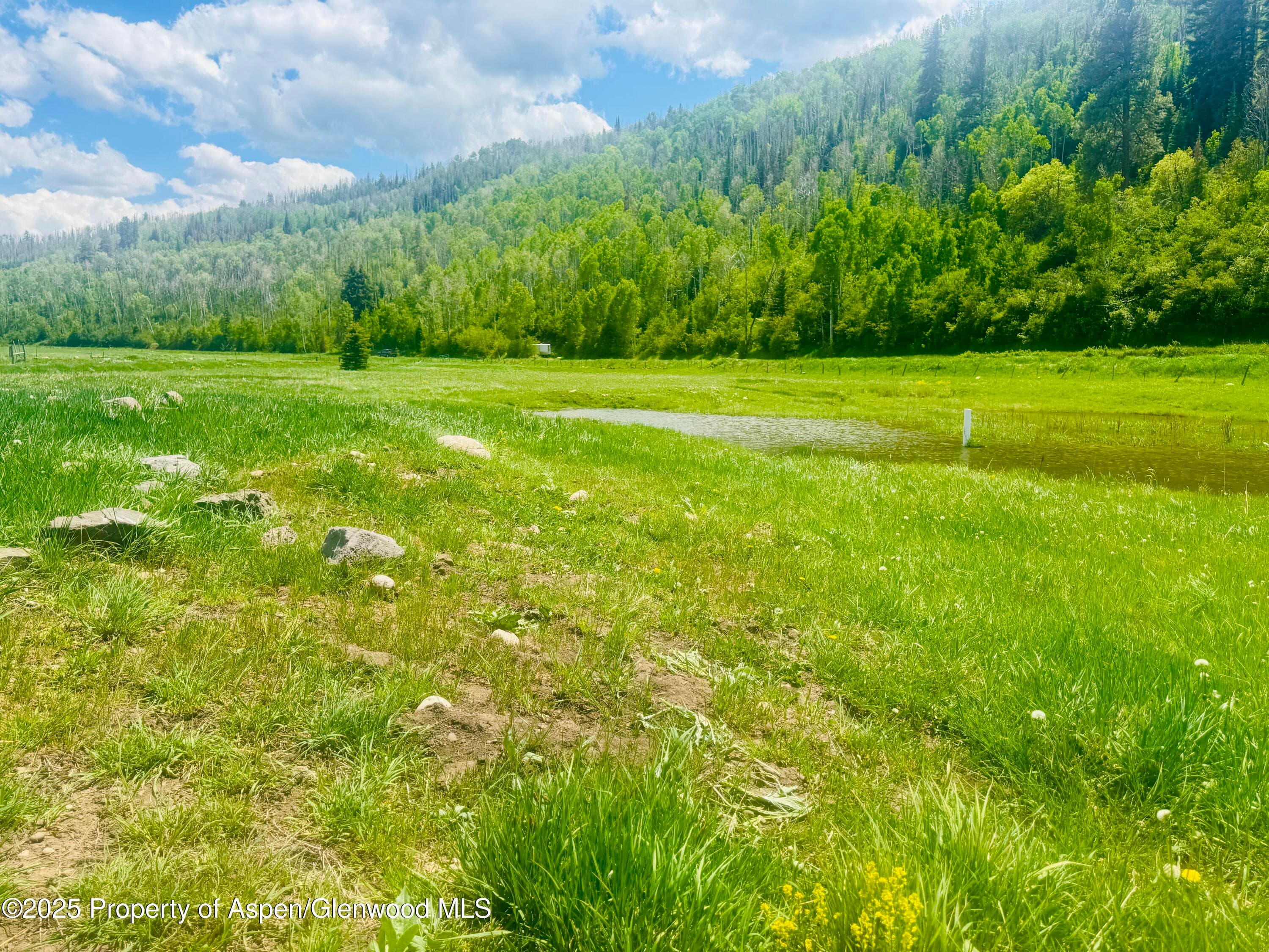 3915 County Road 10, Meeker, CO 81641 - Photo 7
