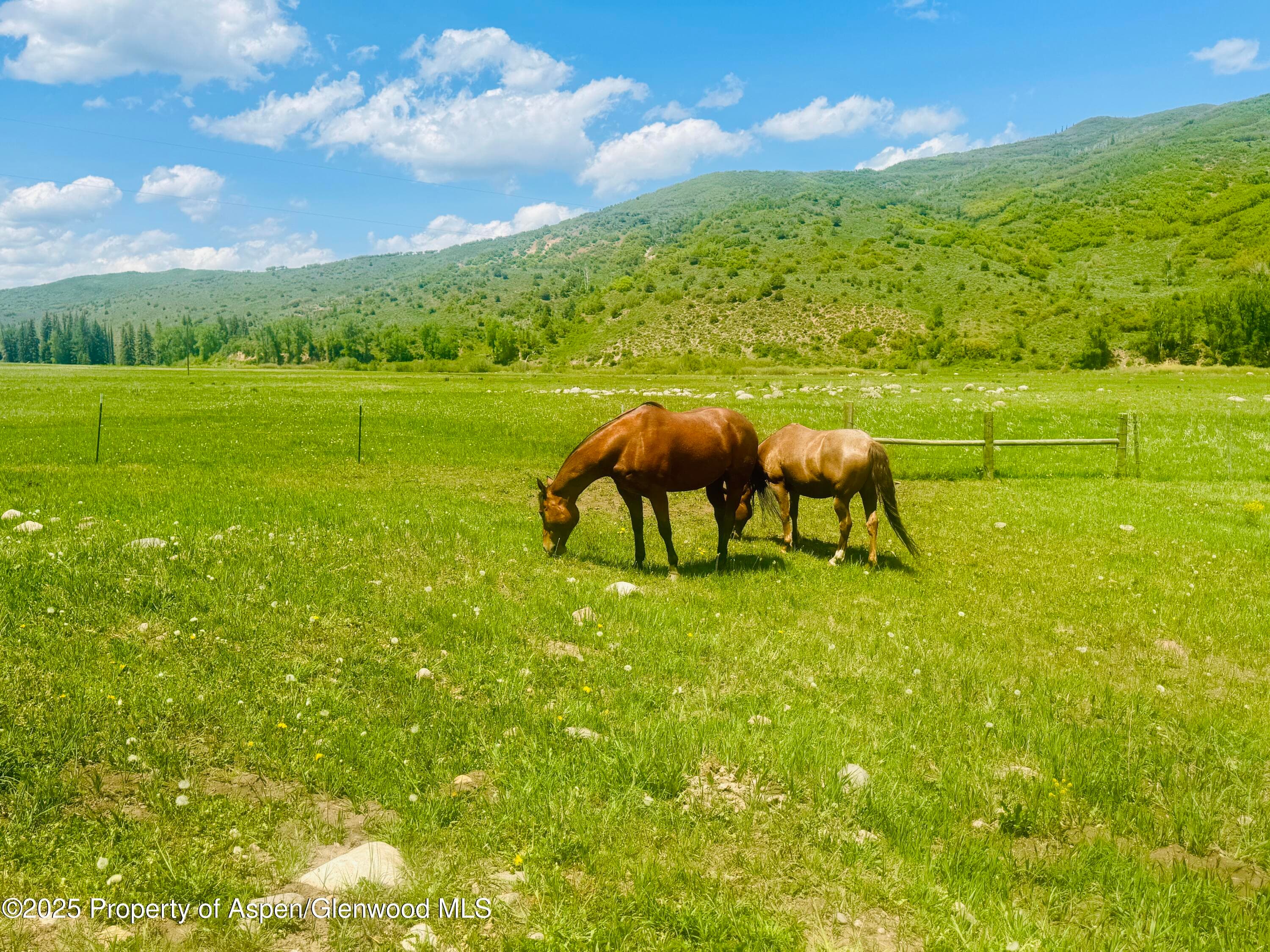 3915 County Road 10, Meeker, CO 81641 - Photo 8