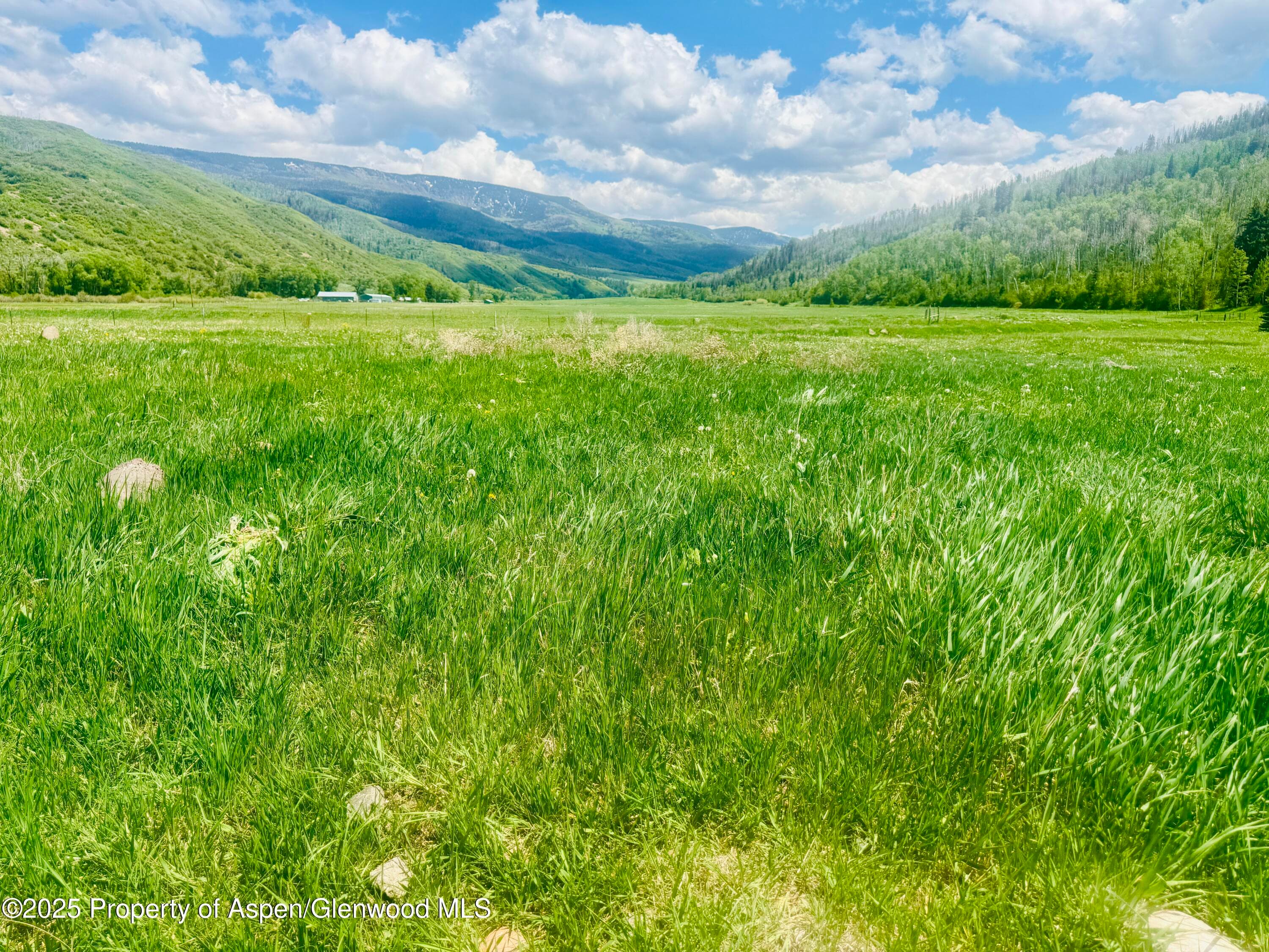 3915 County Road 10, Meeker, CO 81641 - Photo 9