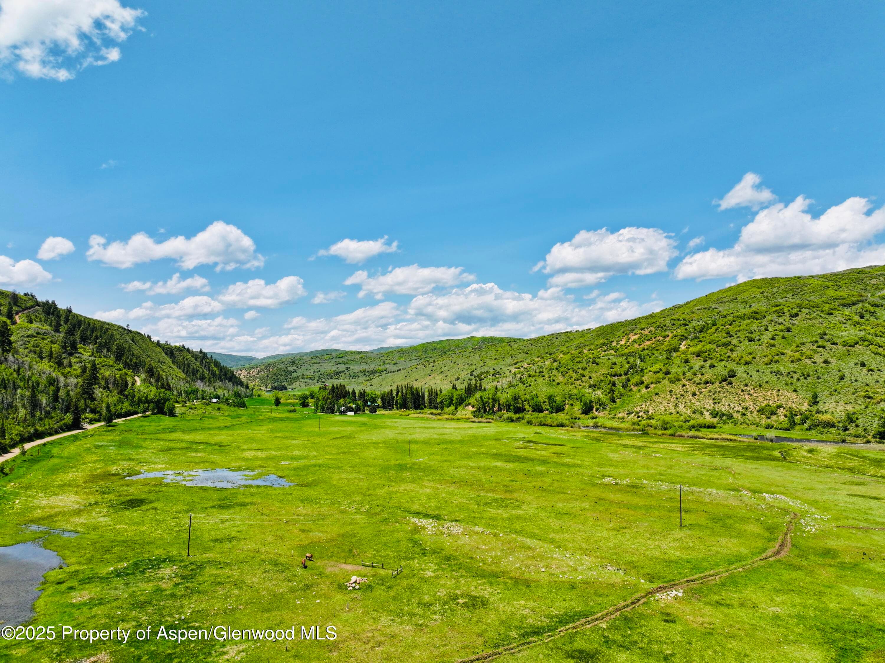 3915 County Road 10, Meeker, CO 81641 - Photo 10