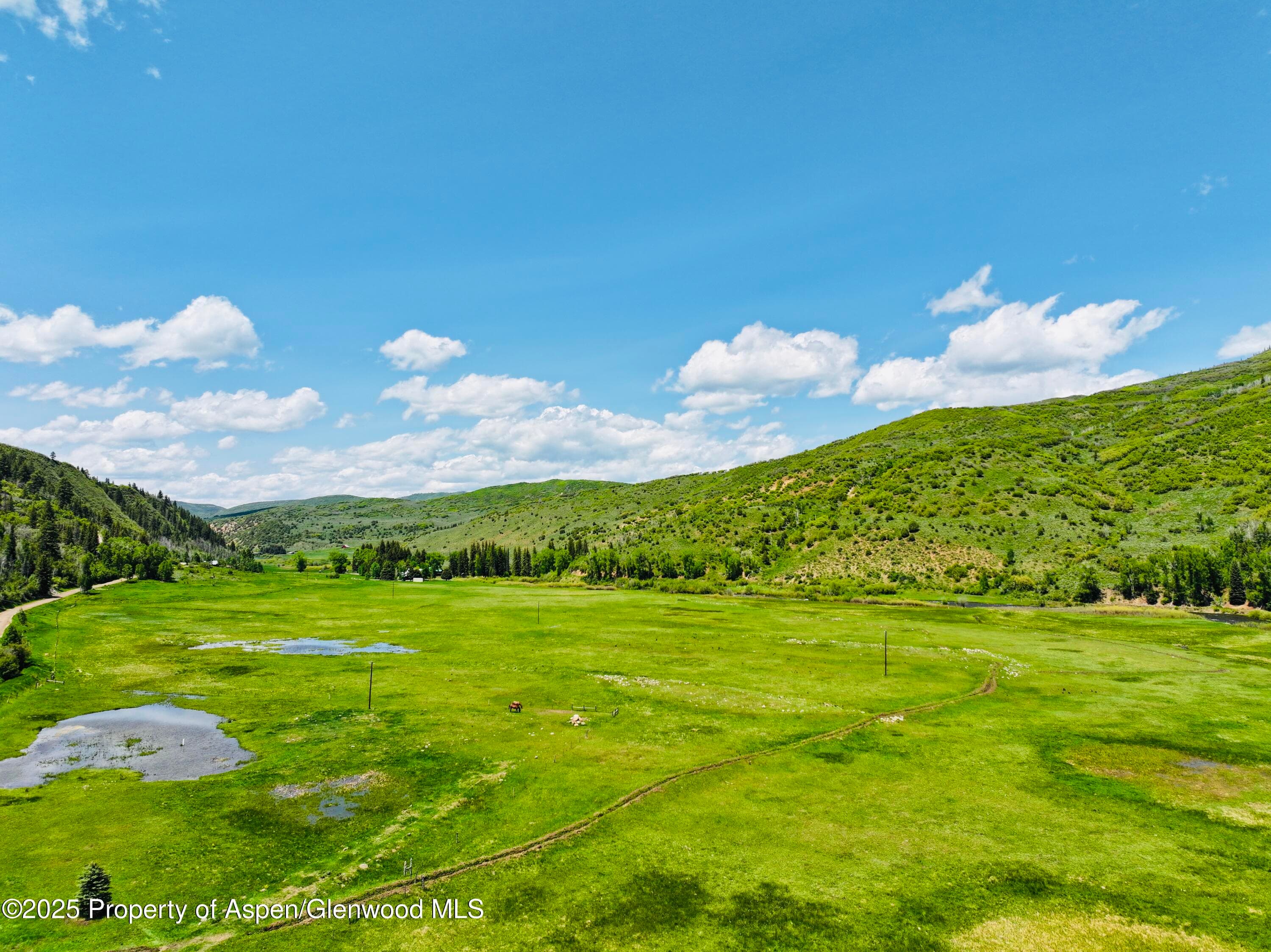 3915 County Road 10, Meeker, CO 81641 - Photo 11