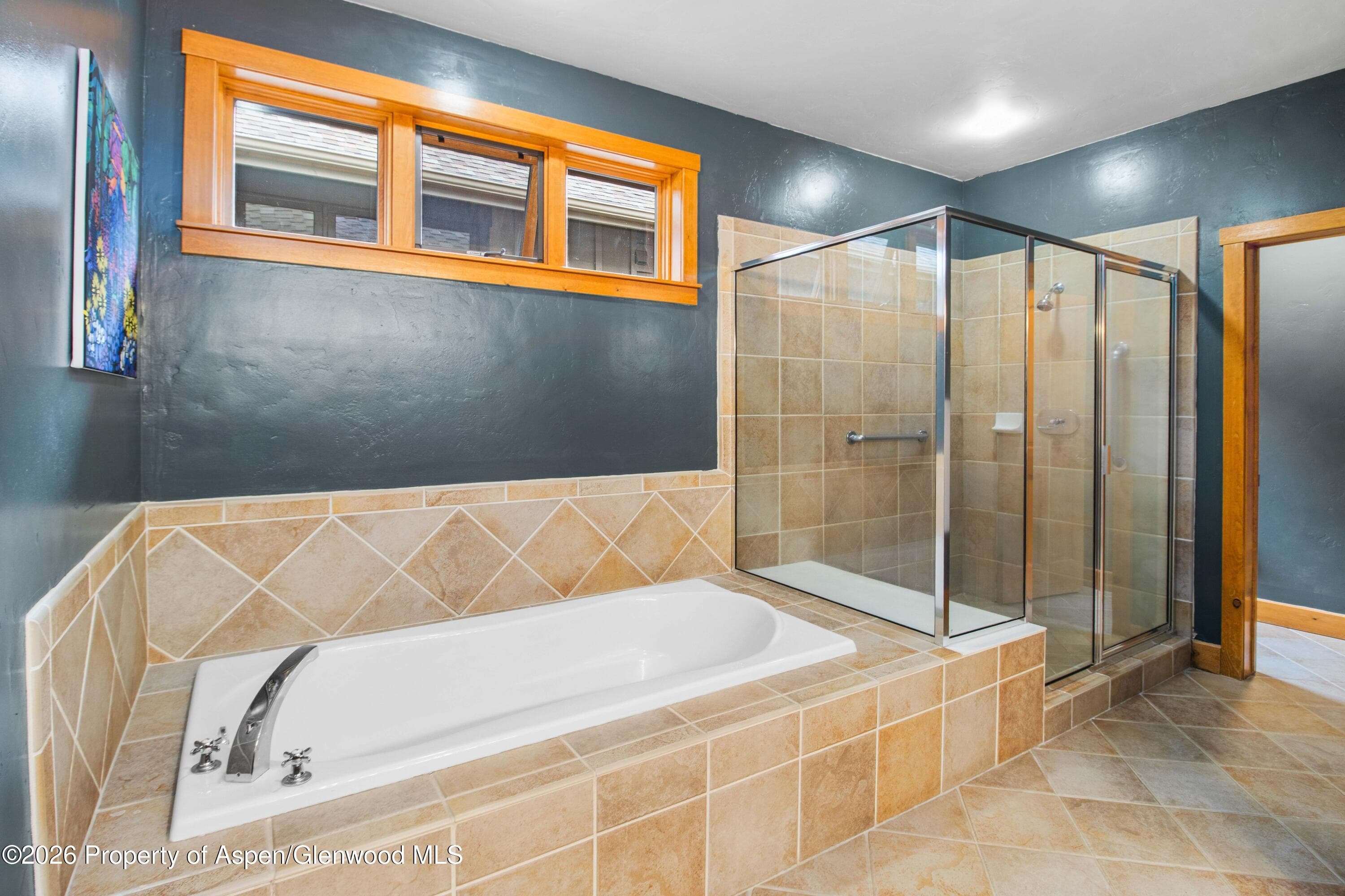 465 Settlement Lane, Carbondale, CO 81623 - Photo 15