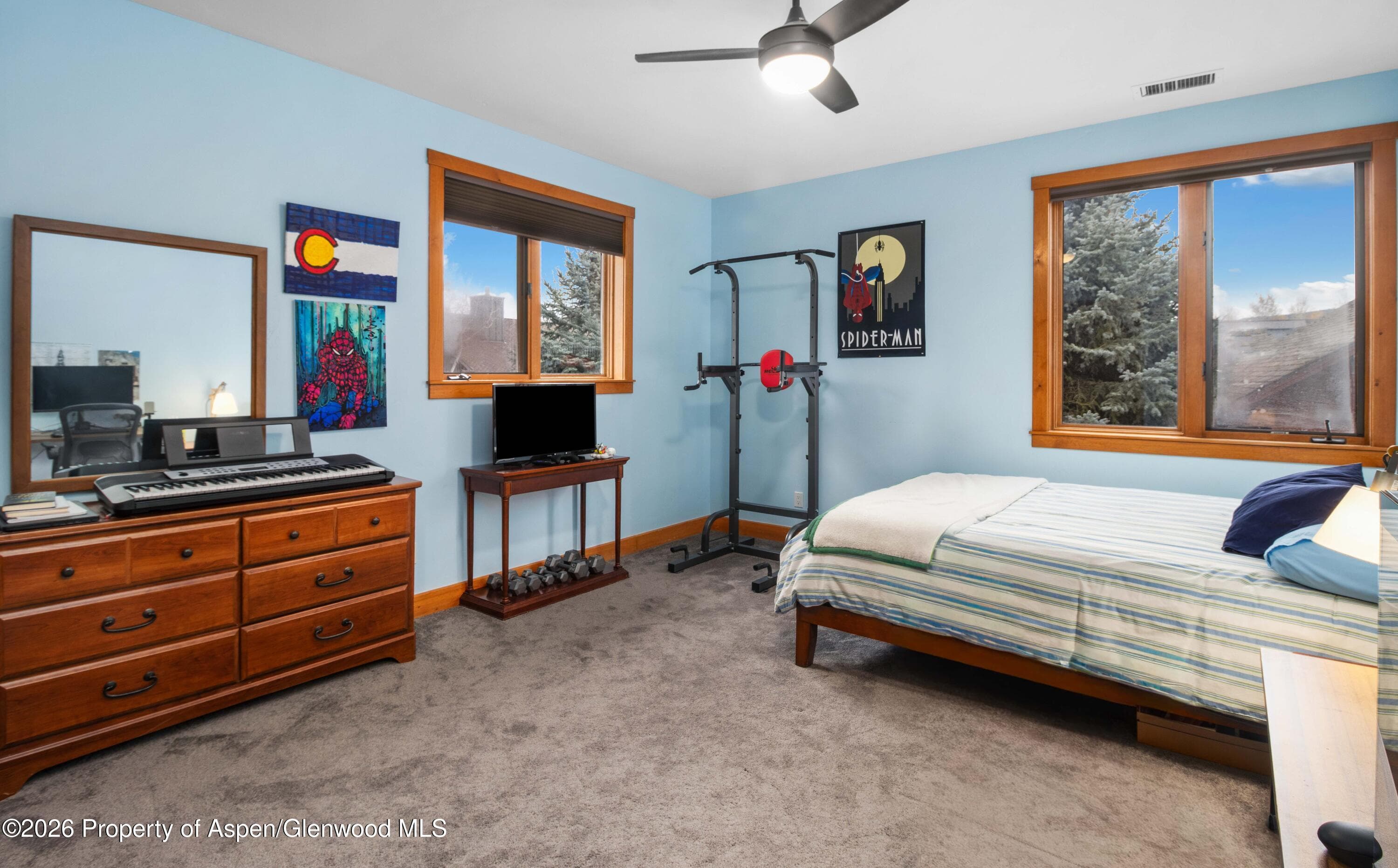 465 Settlement Lane, Carbondale, CO 81623 - Photo 18