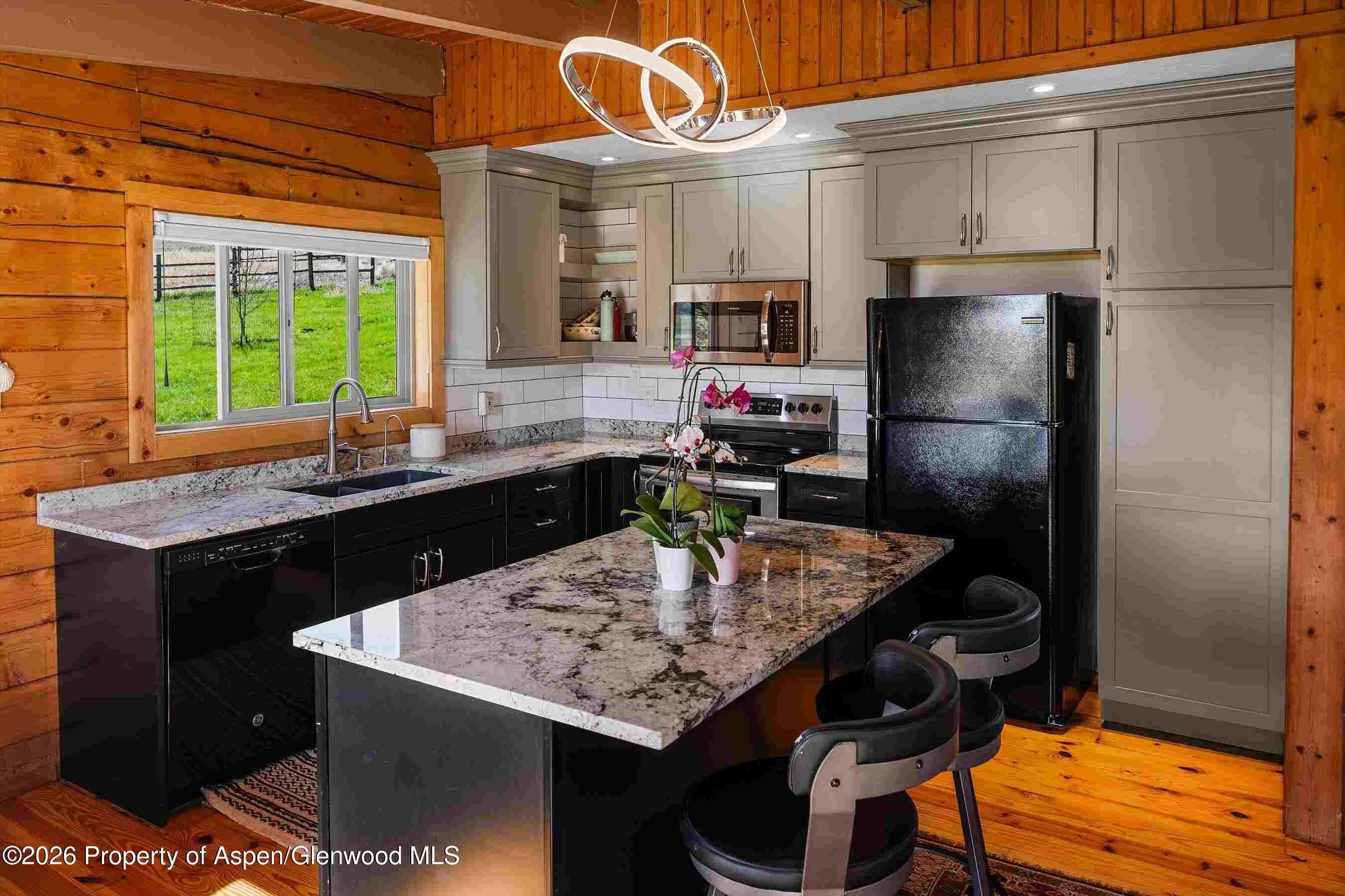 1150 County Road 119, Glenwood Springs, CO 81601 - Photo 5